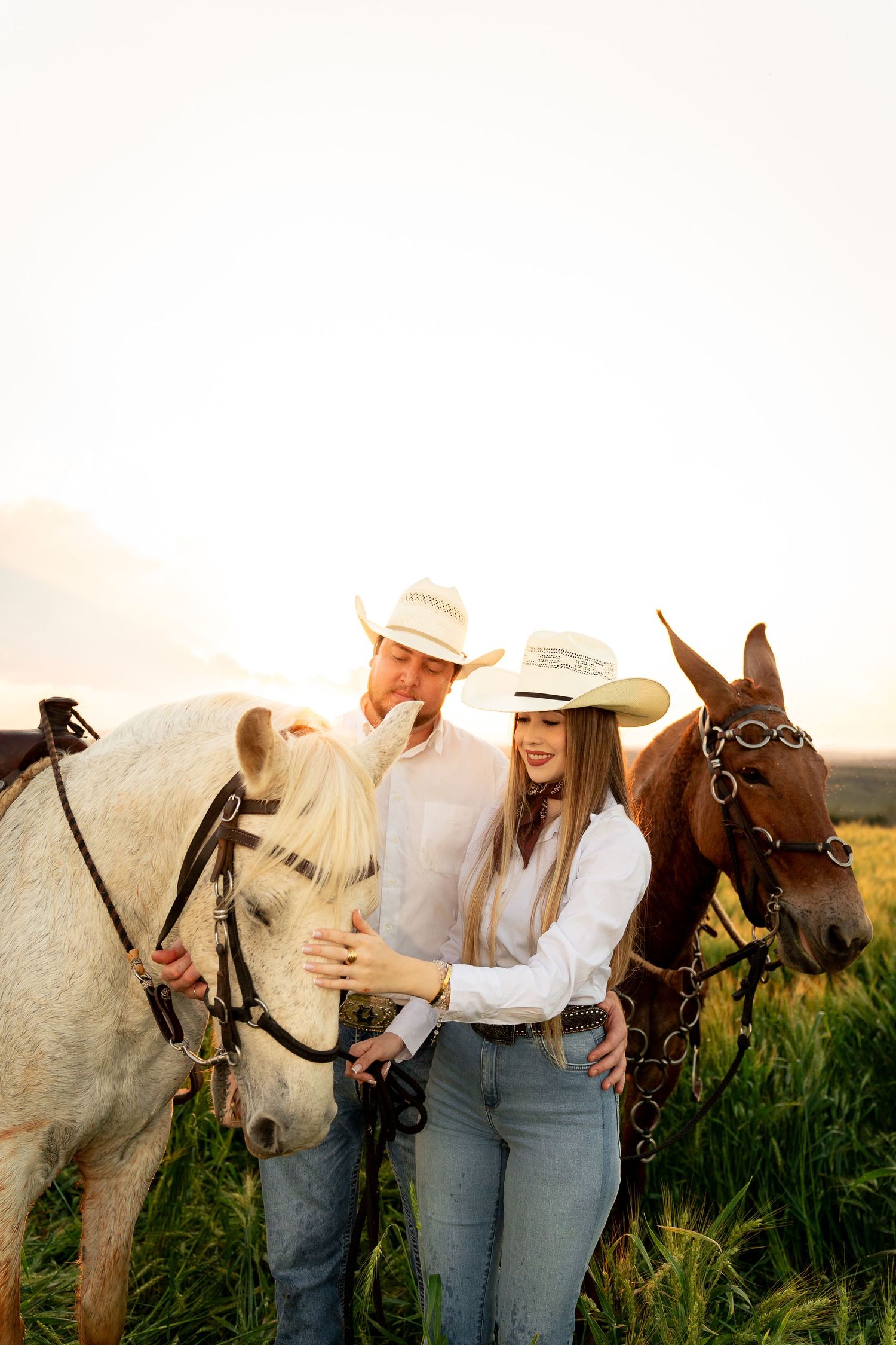 A couple in cowboy hats and white shirts stand with a white and brown horse in a sunlit field.