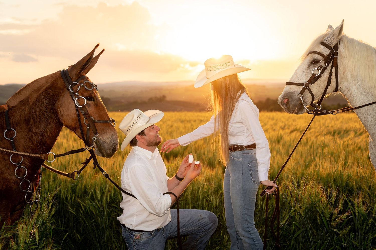 Man proposes to woman at golden sunset in field, both wearing cowboy hats, with two horses nearby.