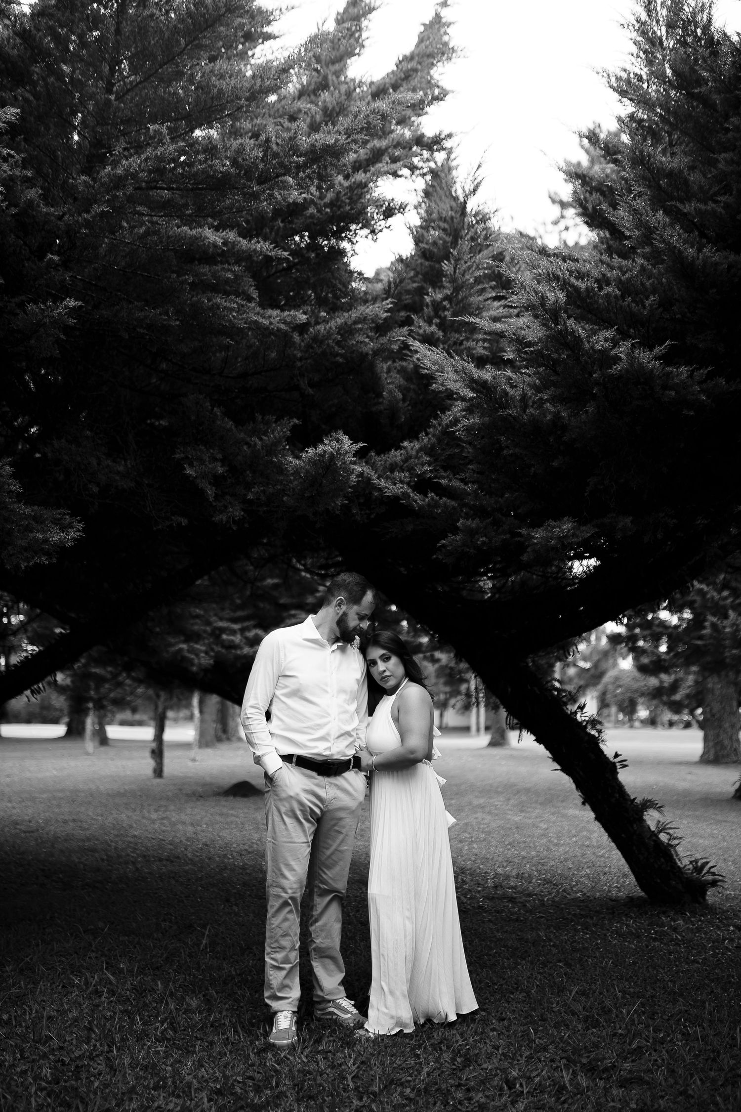 Black and white photo of a couple embracing tenderly under a large tree in a park, woman in white dress.