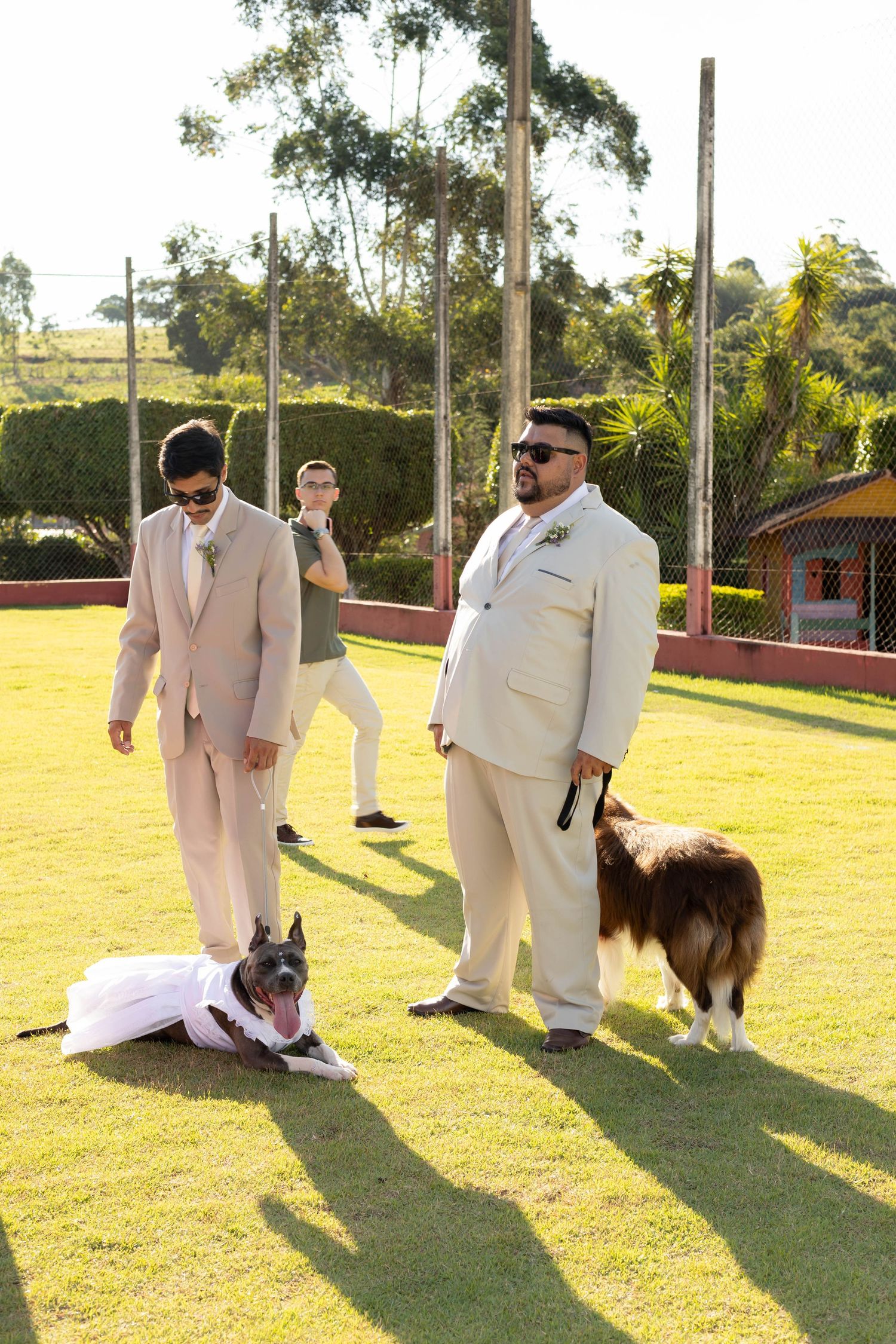 Two groomsmen in beige suits with dogs on a sunny lawn at an outdoor wedding ceremony.