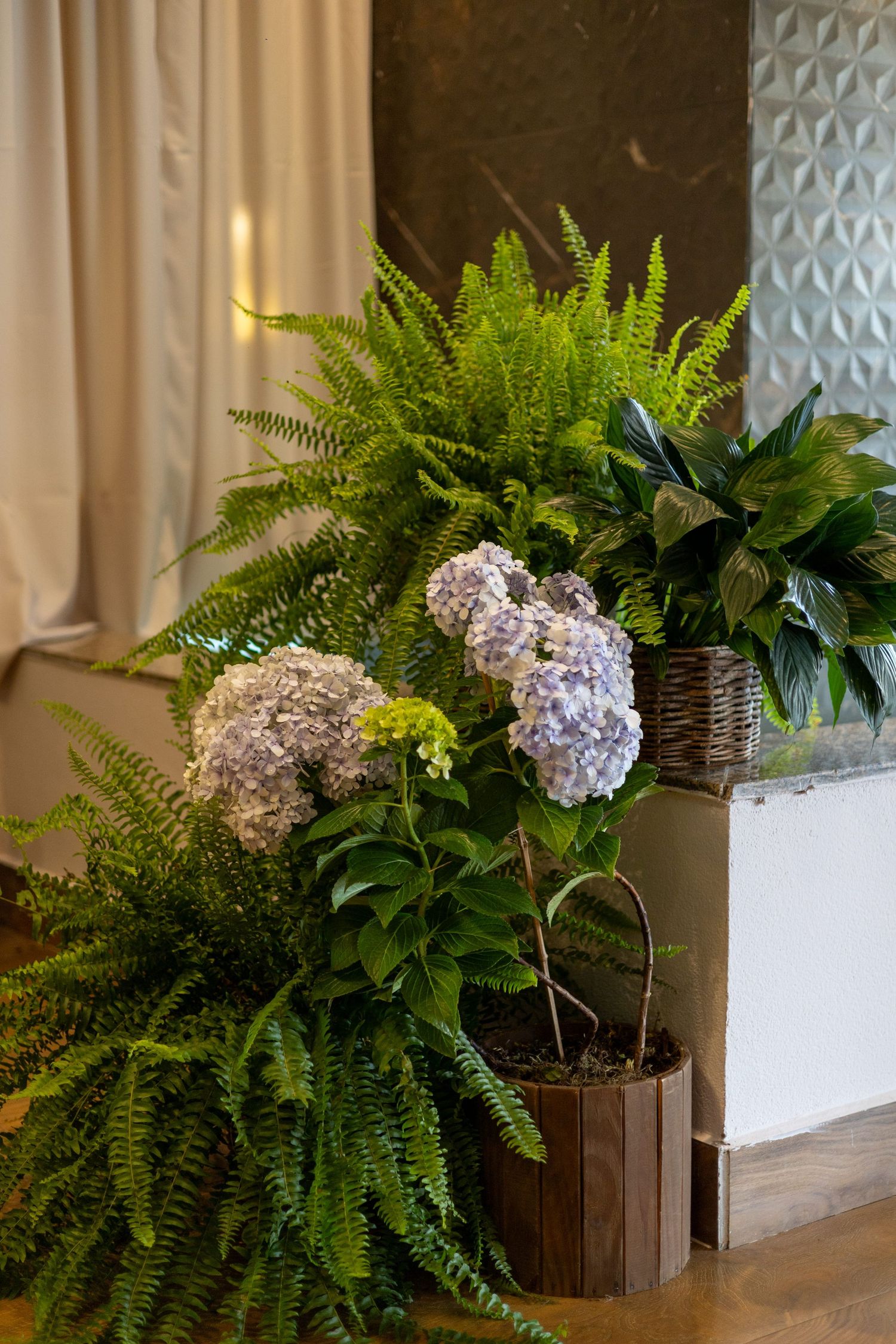 Lush indoor arrangement of ferns and blue hydrangeas in wicker and wooden baskets near a decorative wall.