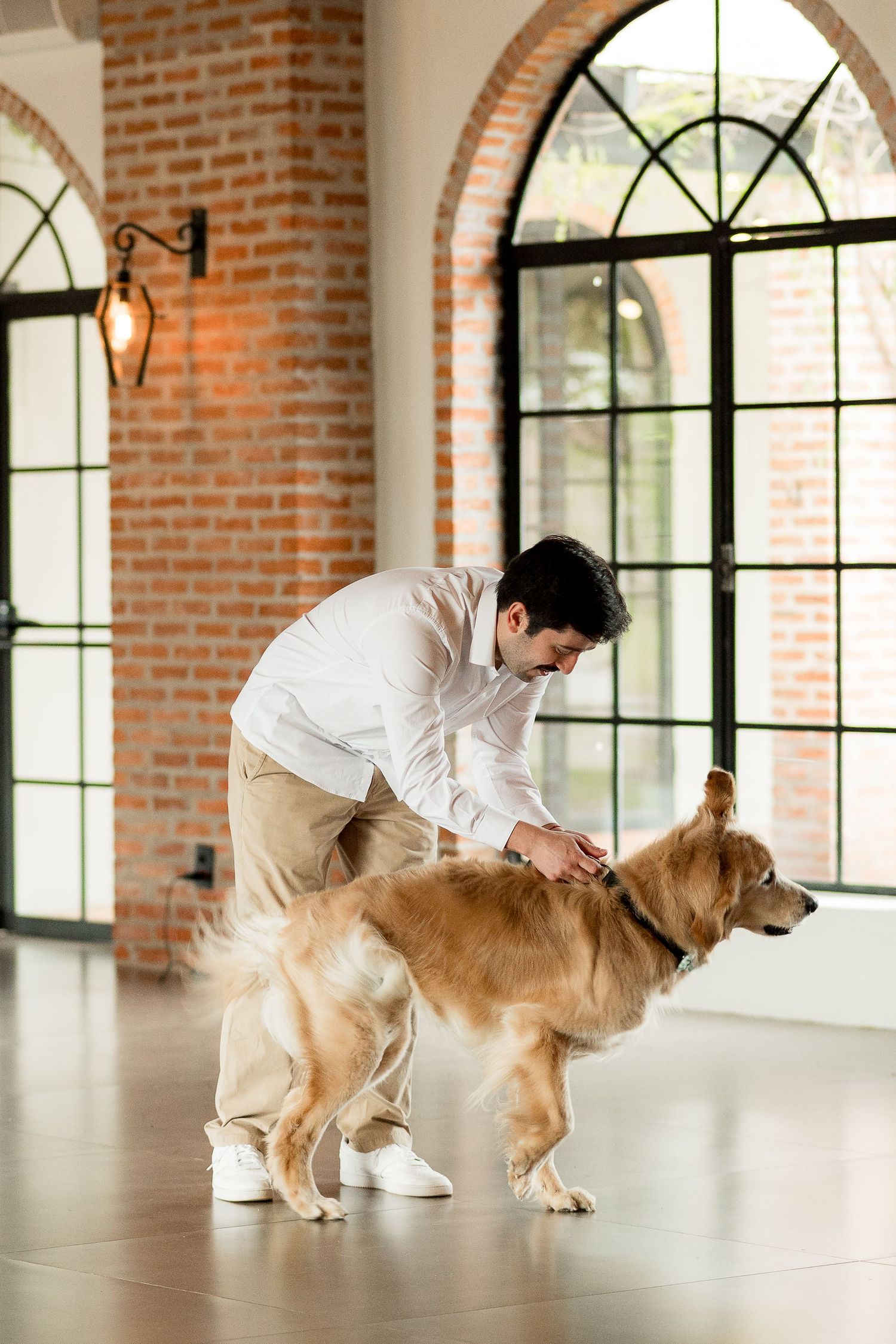 Man in white shirt petting a golden retriever dog indoors in a modern loft space with brick walls.