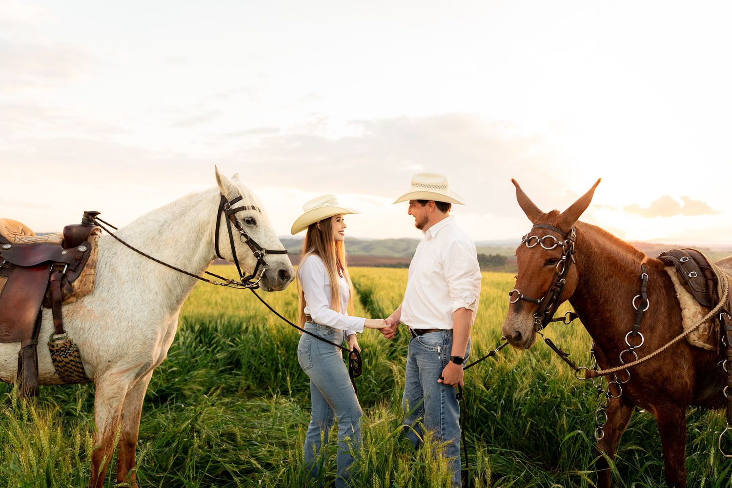 Couple in cowboy hats holding hands in a green field with a white and brown horse at sunset.