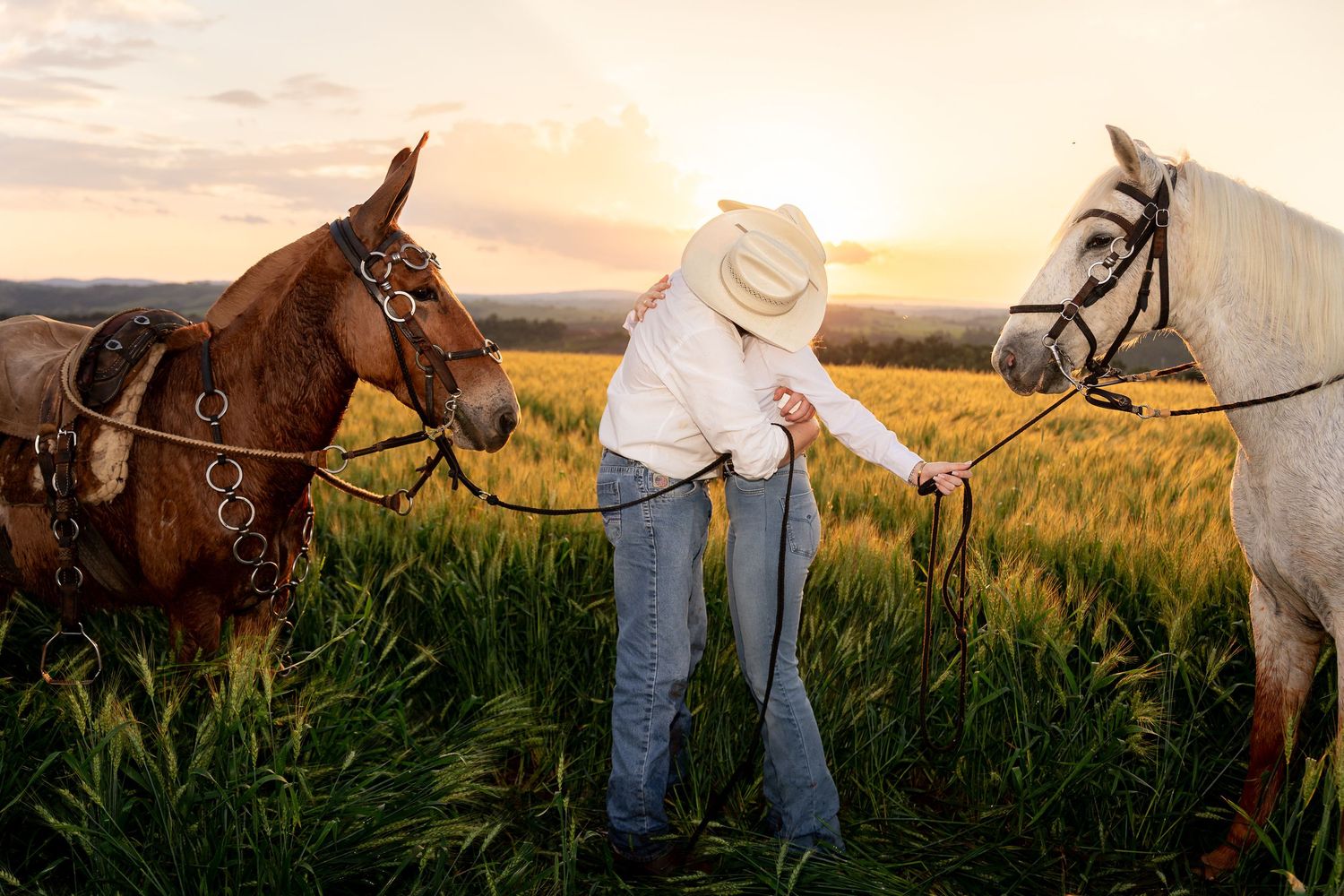 Person in cowboy hat leading two horses through a green field at golden sunset.