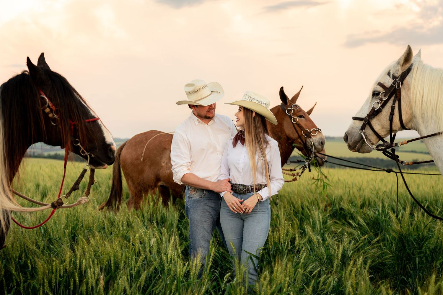 Couple in cowboy hats standing together in a green field with brown and white horses at sunset.