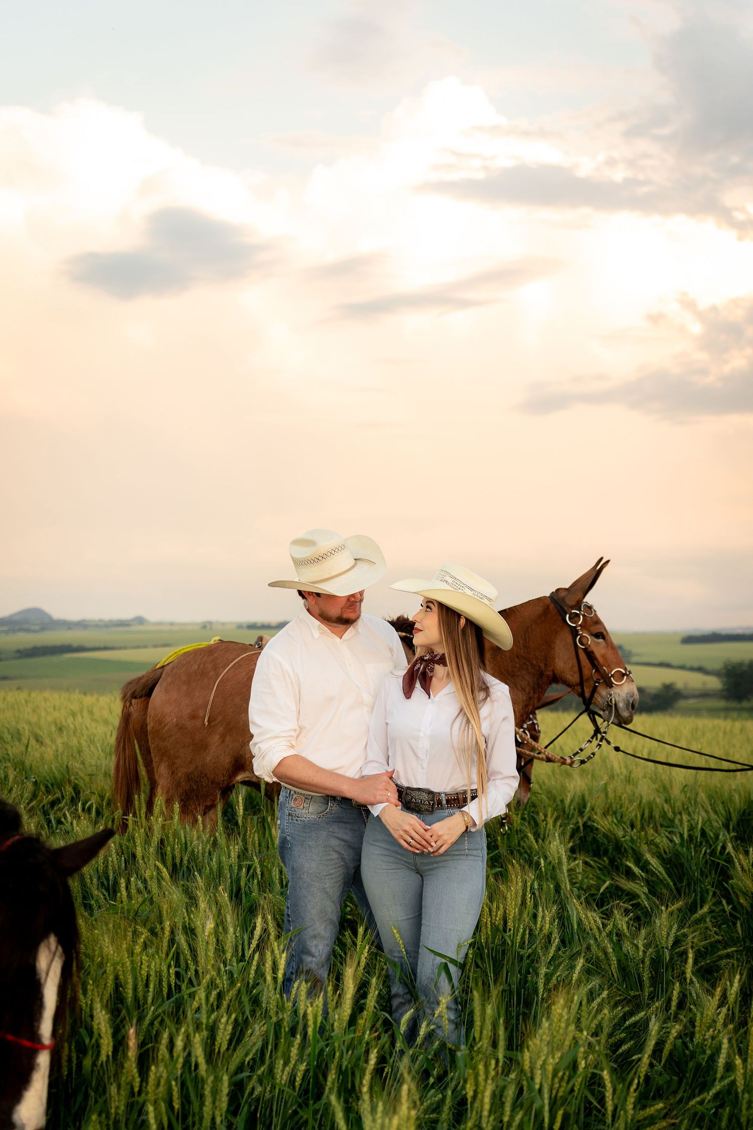 Couple in cowboy hats and white shirts standing together in a green field with a brown horse at sunset.