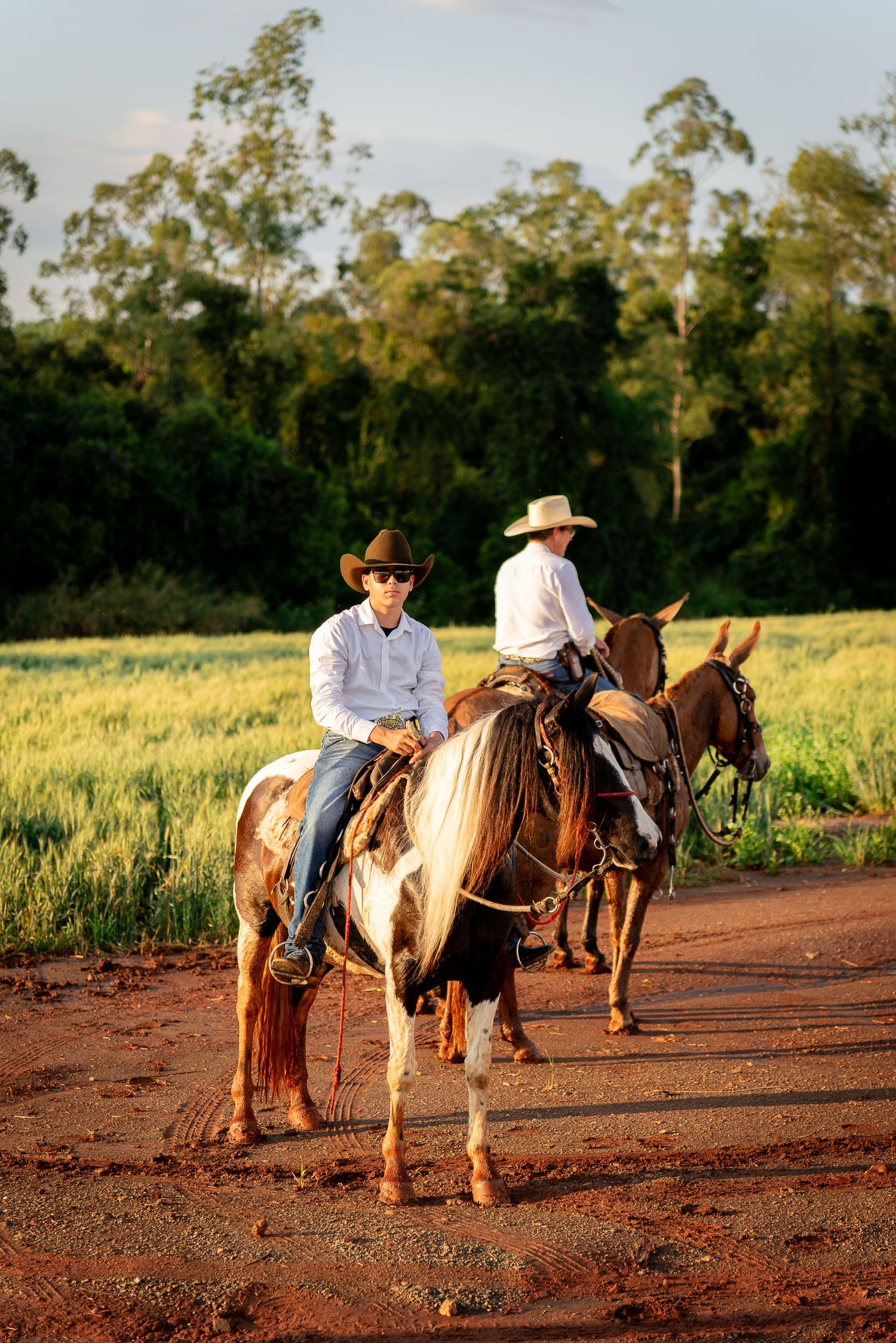 Two cowboys in white shirts and cowboy hats riding horses on a dirt path beside a green field at golden hour.