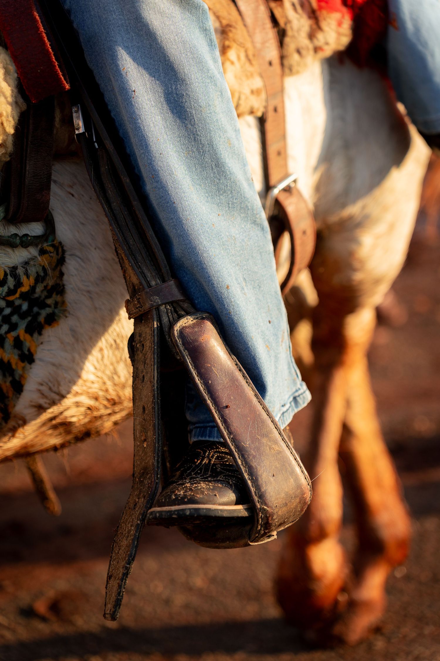 Close-up of a cowboy's boot in a stirrup while riding a horse, wearing blue jeans in warm golden light.