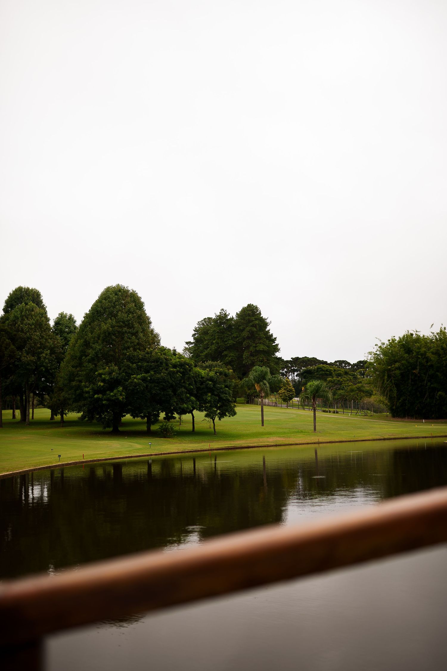 Serene park landscape with lush green trees reflecting in a calm pond, viewed from a wooden railing on an overcast day.