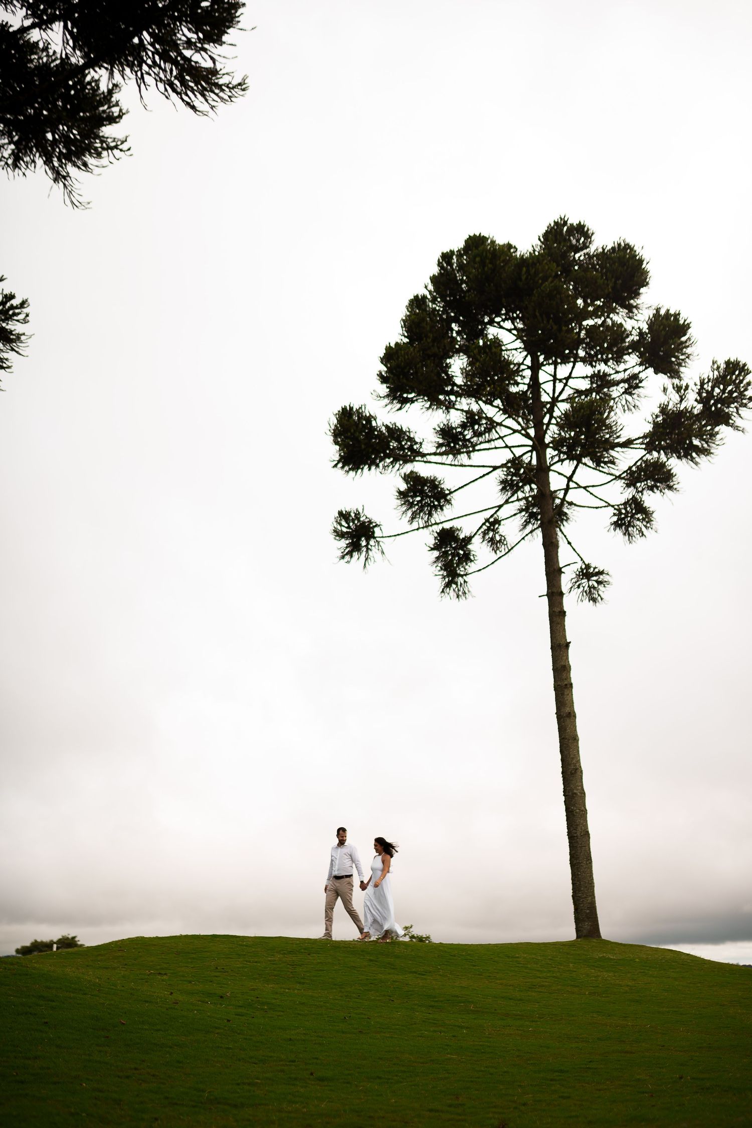 Couple in white walking hand in hand on lush green hill beside tall pine tree under overcast sky.