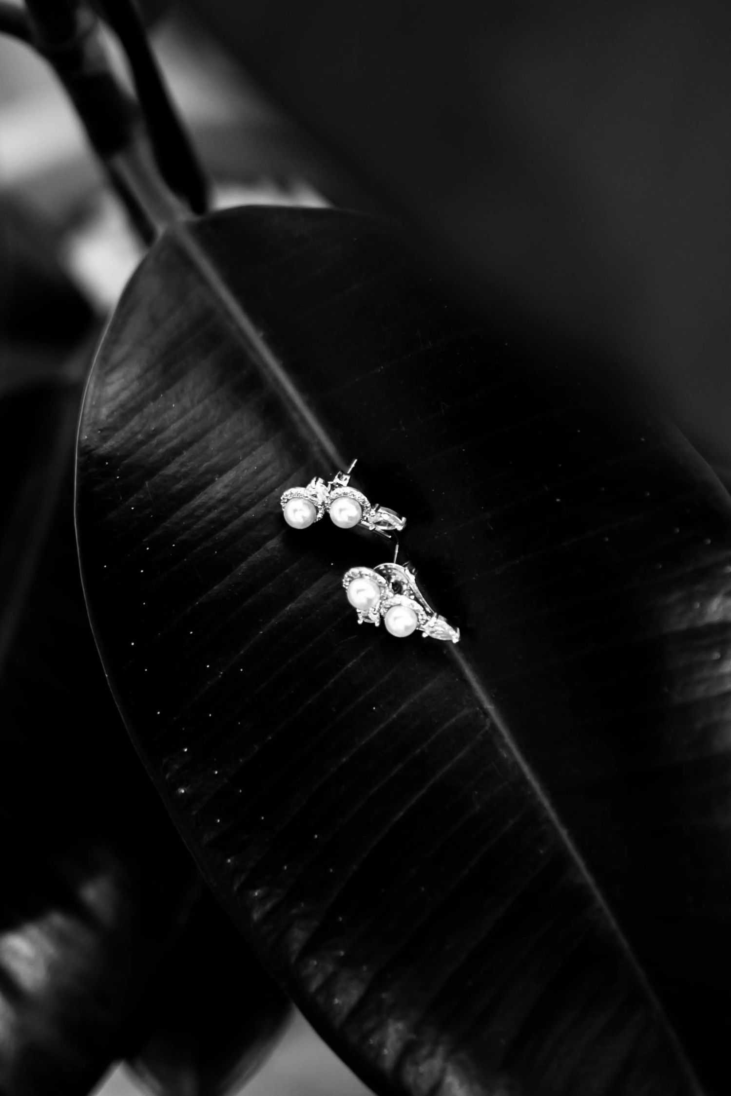 Black and white macro photo of delicate pearl and crystal bridal earrings resting on a dark tropical leaf.
