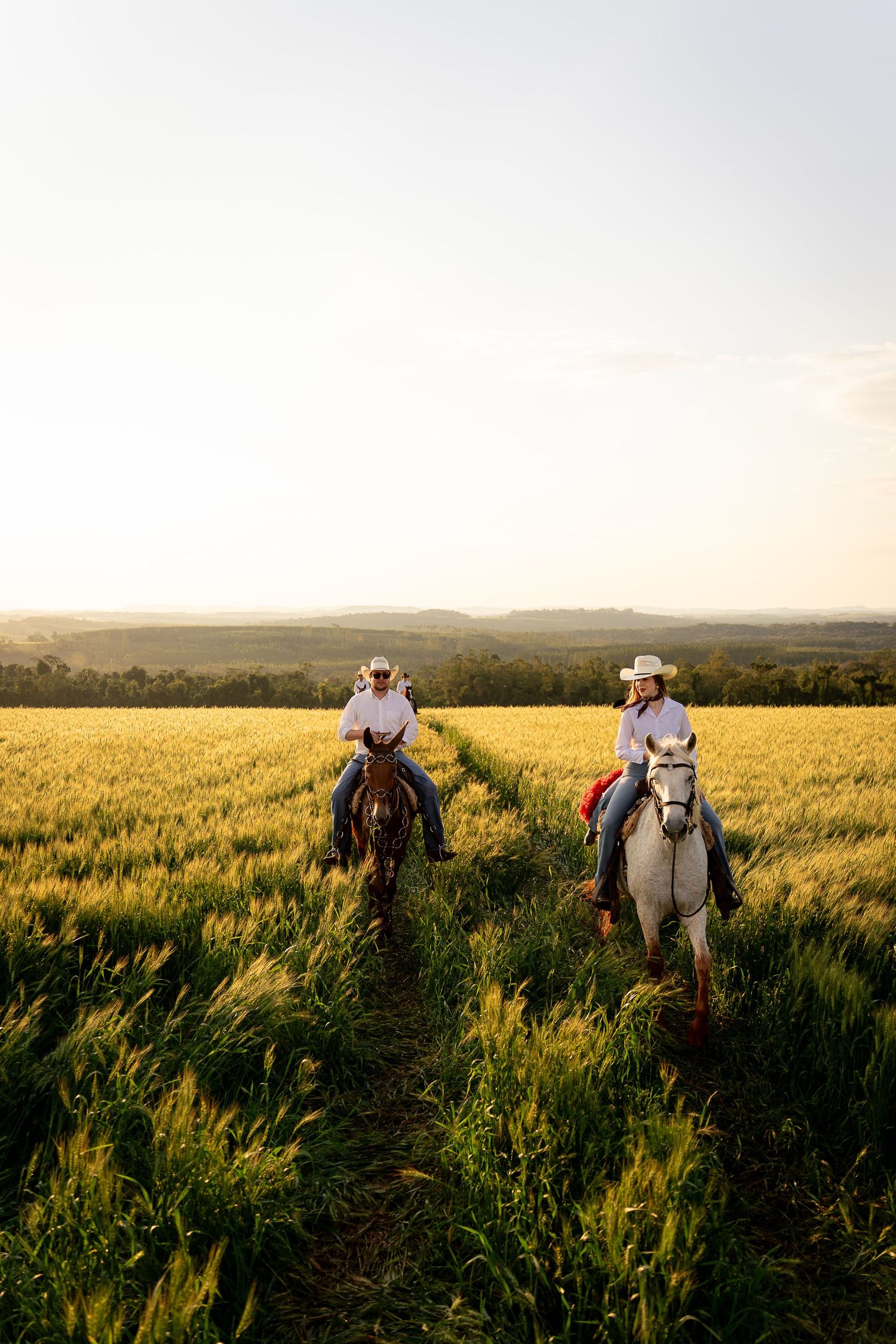 Two cowboys riding horses through a golden wheat field at sunset with rolling hills in the background.