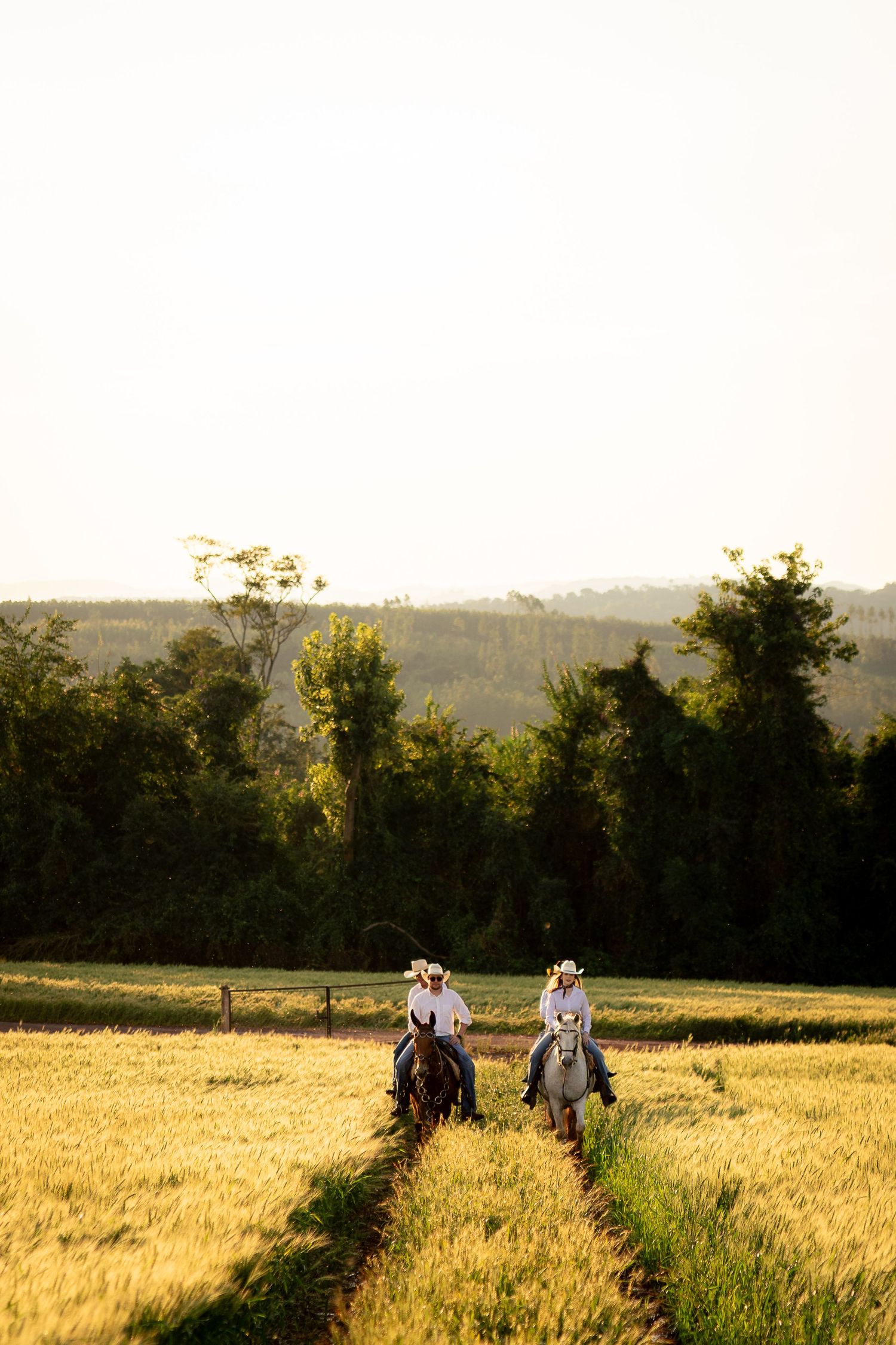 Two cowboys riding horses through golden wheat fields at sunset with lush green trees in the background.