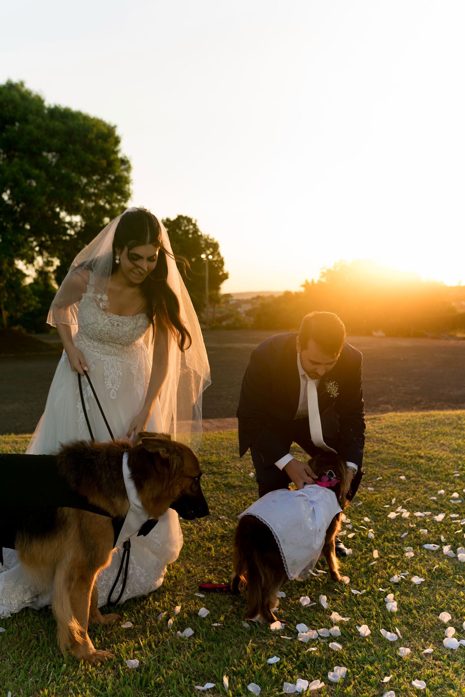 Bride and groom in wedding attire petting their dogs on a grassy lawn during a golden sunset.