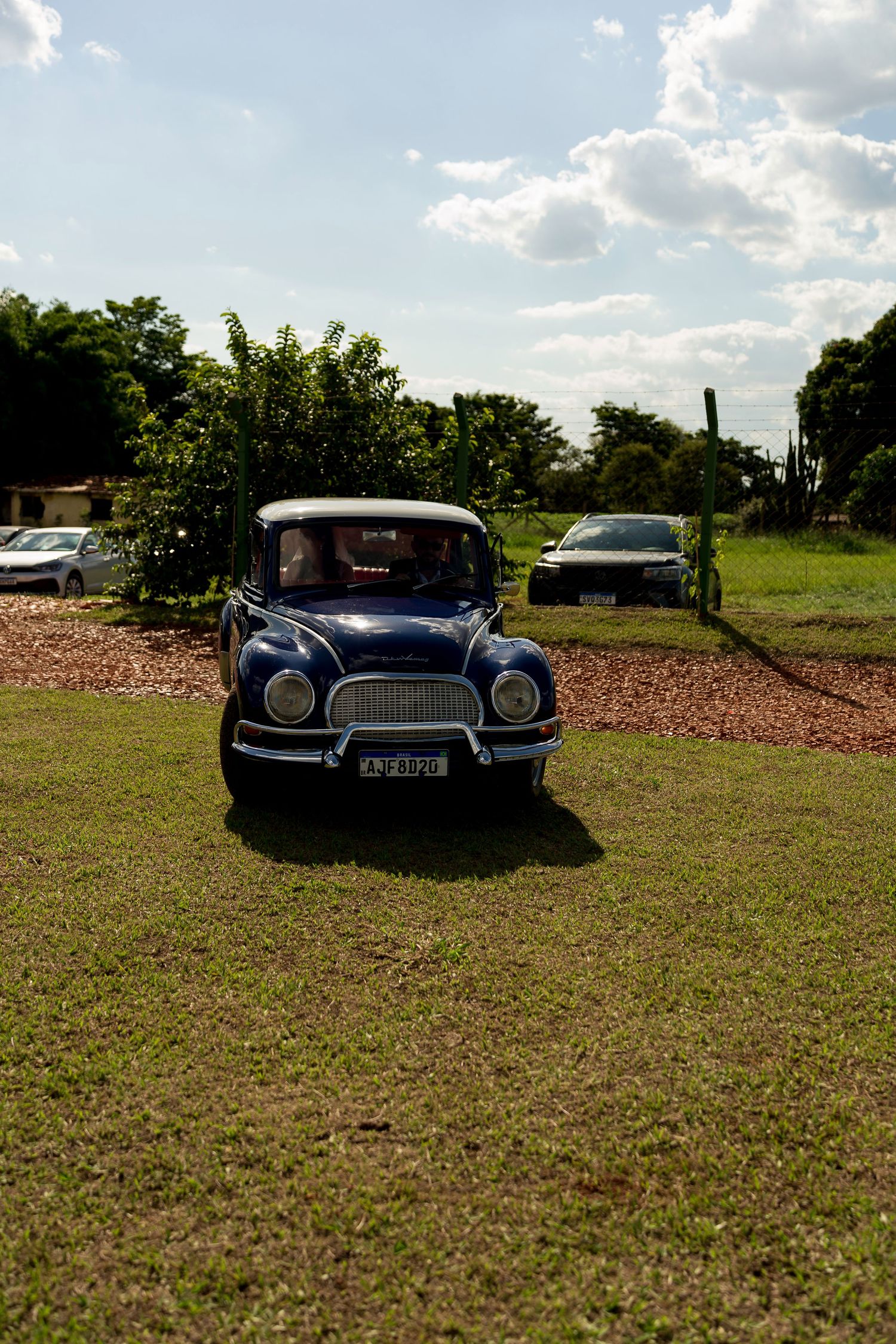 Vintage blue classic car parked on green grass with trees and cloudy sky in background.