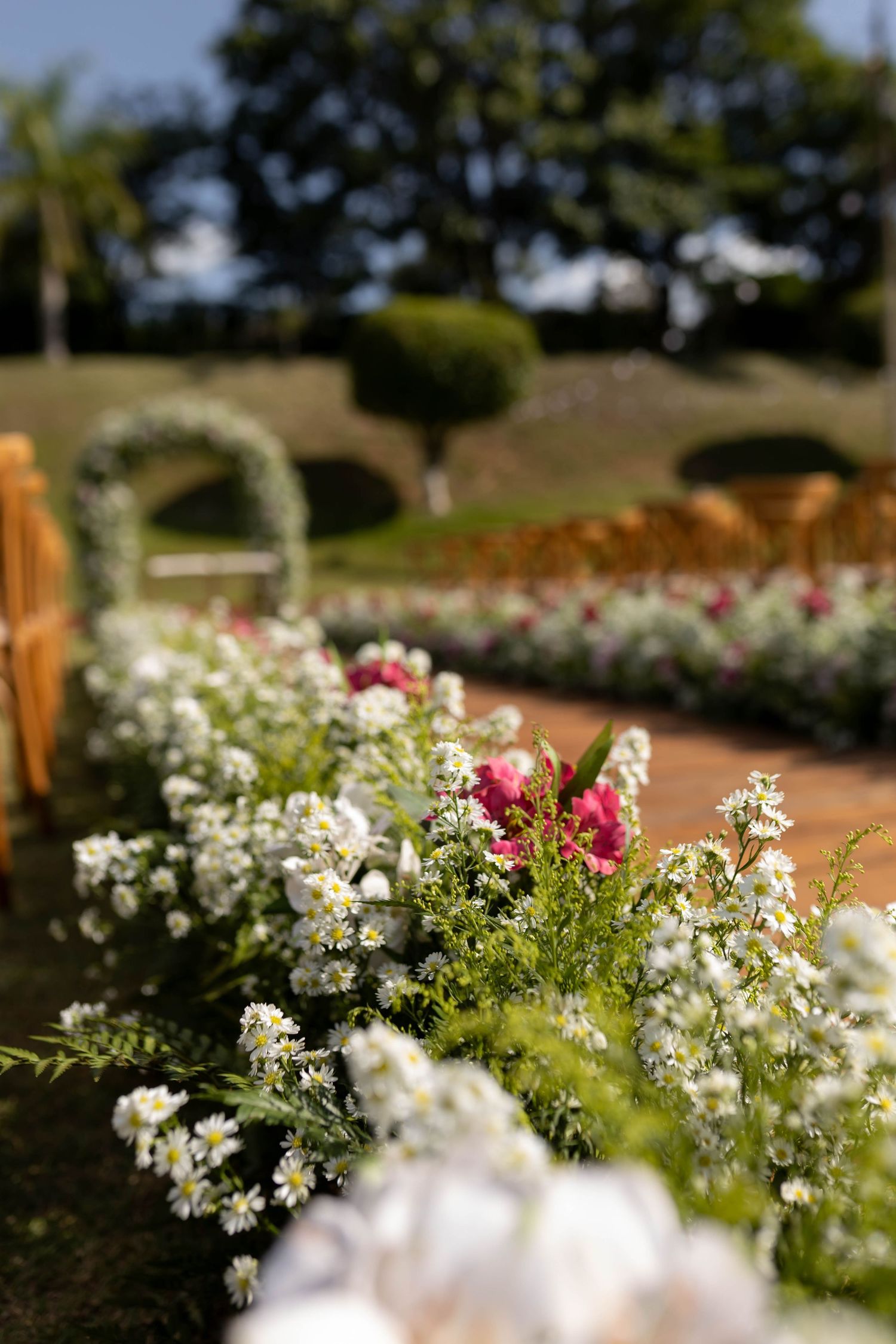 Outdoor wedding ceremony aisle lined with white and pink flowers, green hedges, and a floral arch in a sunny garden.