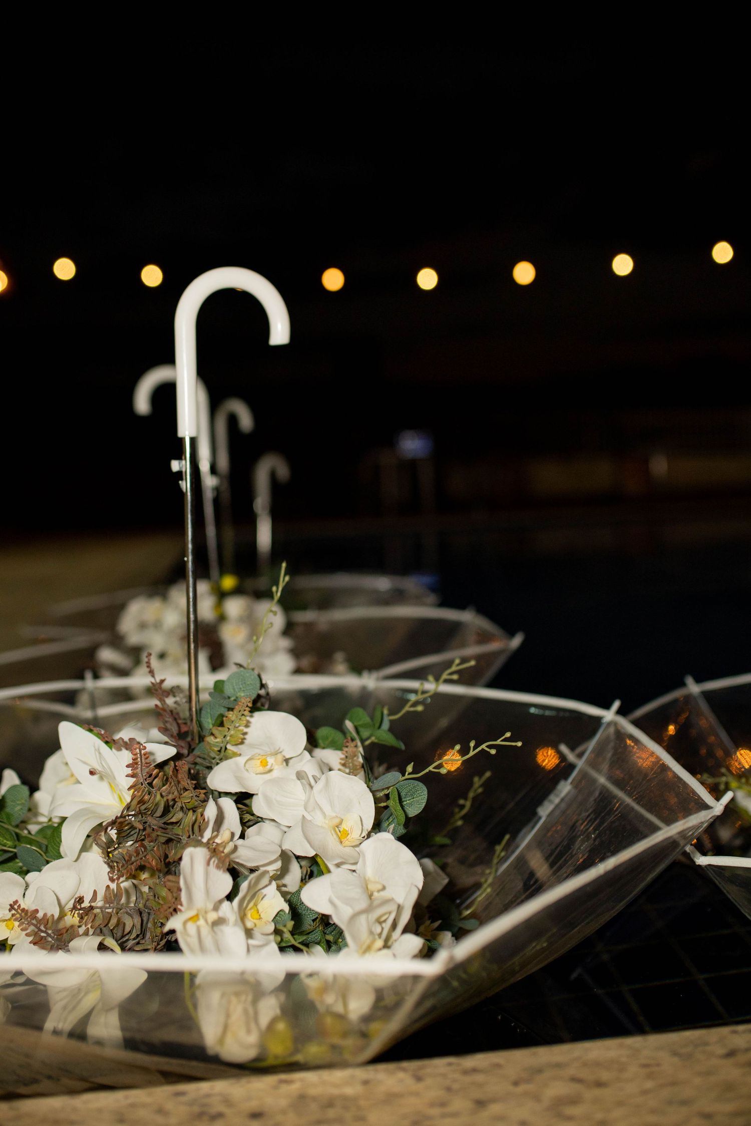 Clear umbrellas filled with white orchids and greenery displayed as elegant decor under string lights at night.