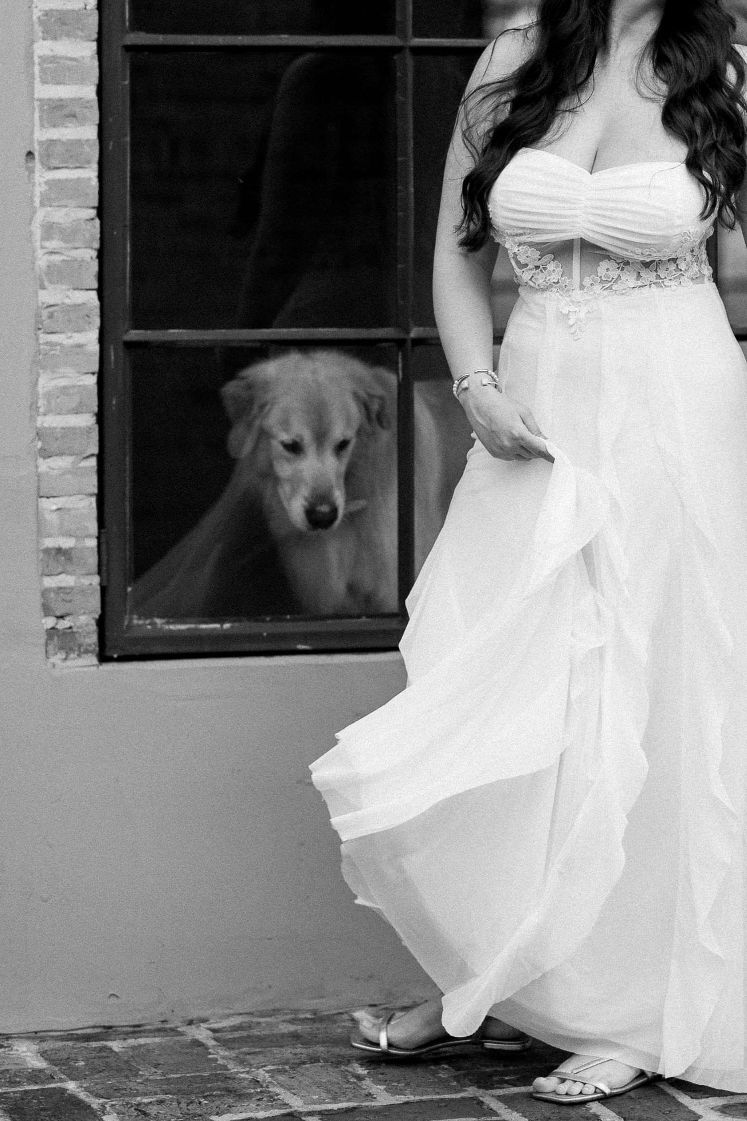 Black and white photo of a bride in a strapless gown with a dog watching through a window behind her.
