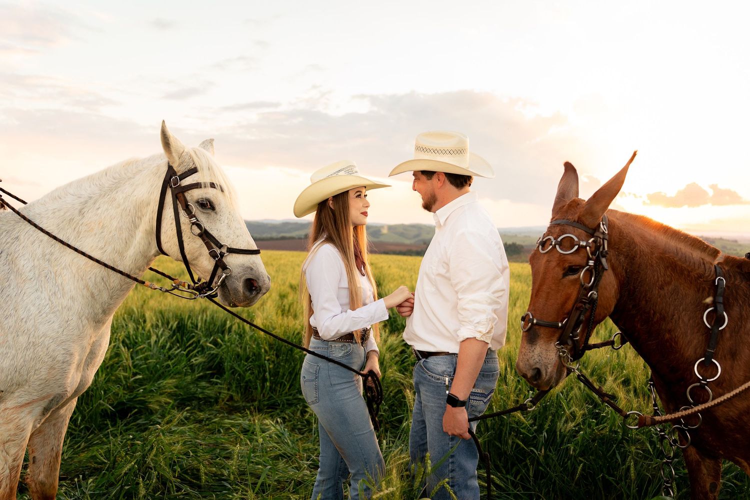 Couple in cowboy hats holding hands in a green field at sunset with a white and brown horse.