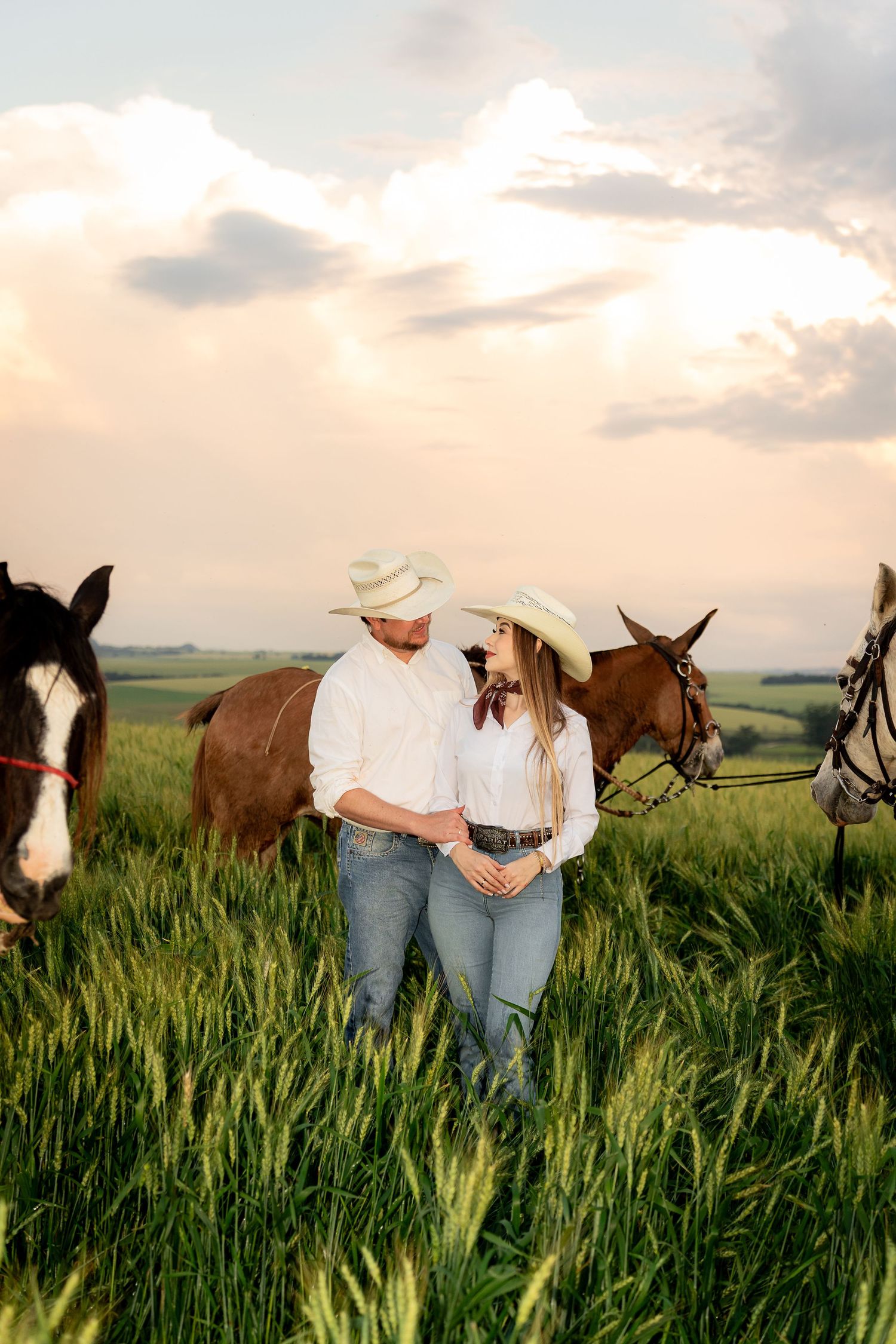 Couple in cowboy hats and jeans standing in green field with horses at golden sunset.