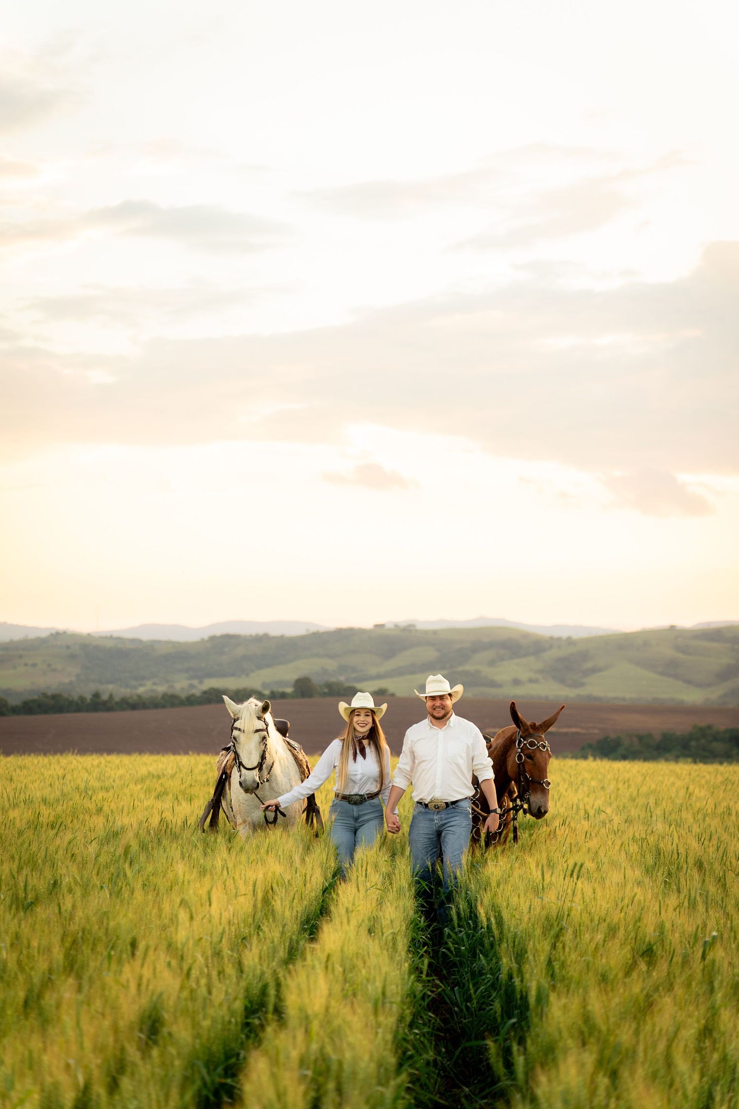 A couple in cowboy hats holds hands walking through a green wheat field with two horses at sunset.