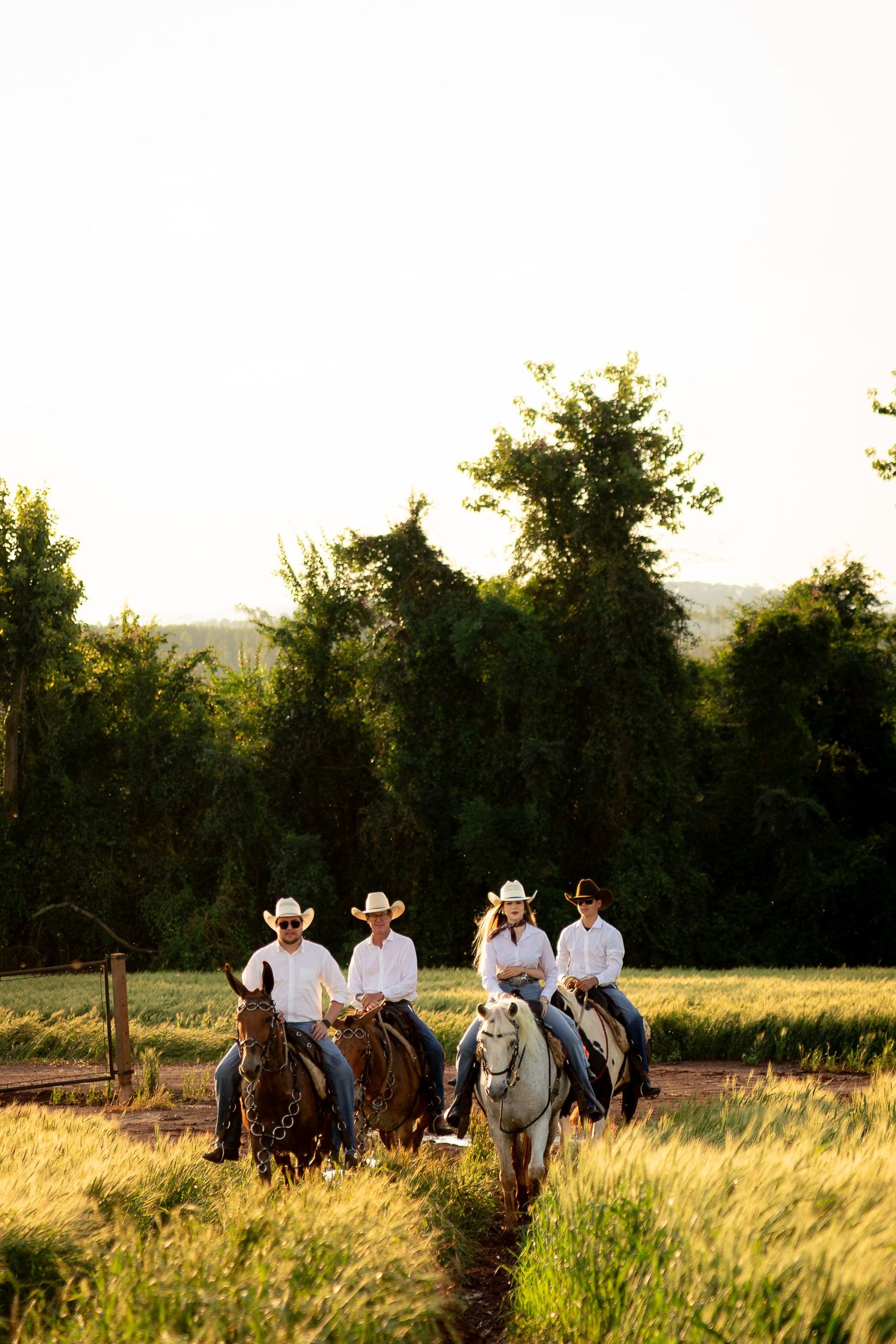Four cowboys and cowgirls in white shirts and hats ride horses through a lush green field at golden hour.