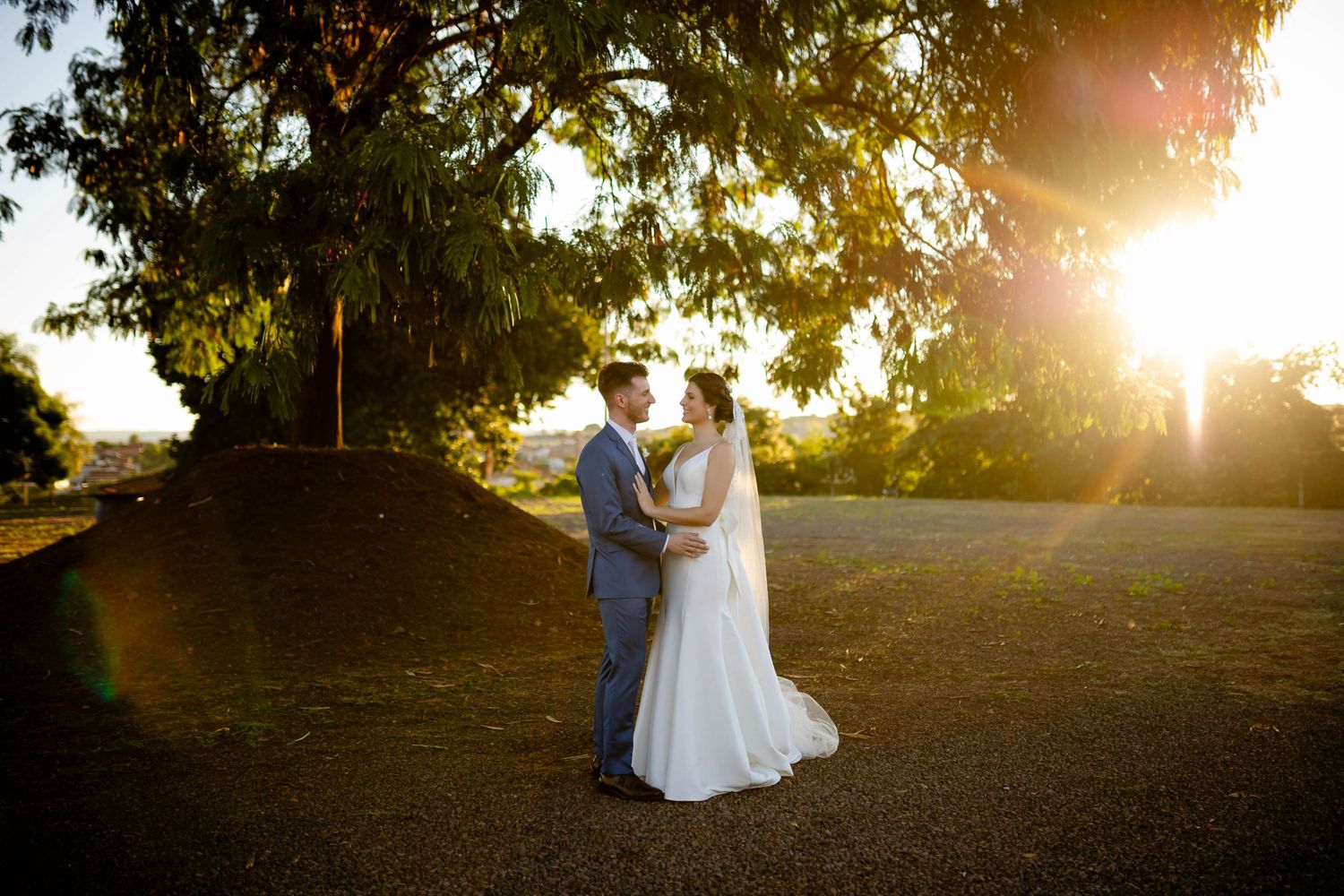 Couple shares a romantic moment under a large tree bathed in golden sunset light.