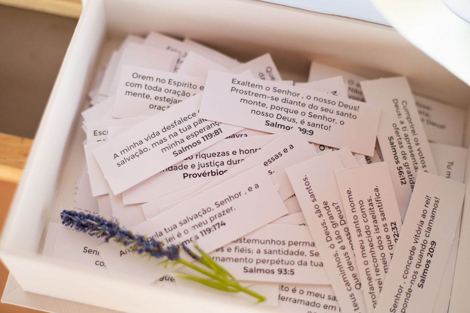 Box of Portuguese Bible verse cards with lavender sprig, featuring Psalms and Proverbs scripture quotes.