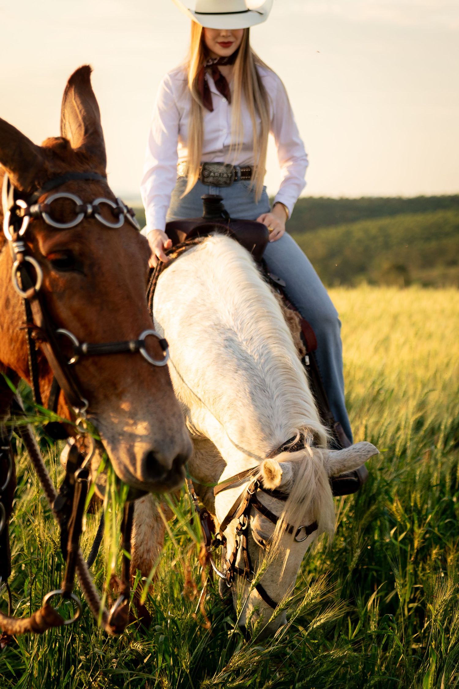 A cowgirl in a white hat and shirt rides a white horse in a sunny green field beside a brown horse.