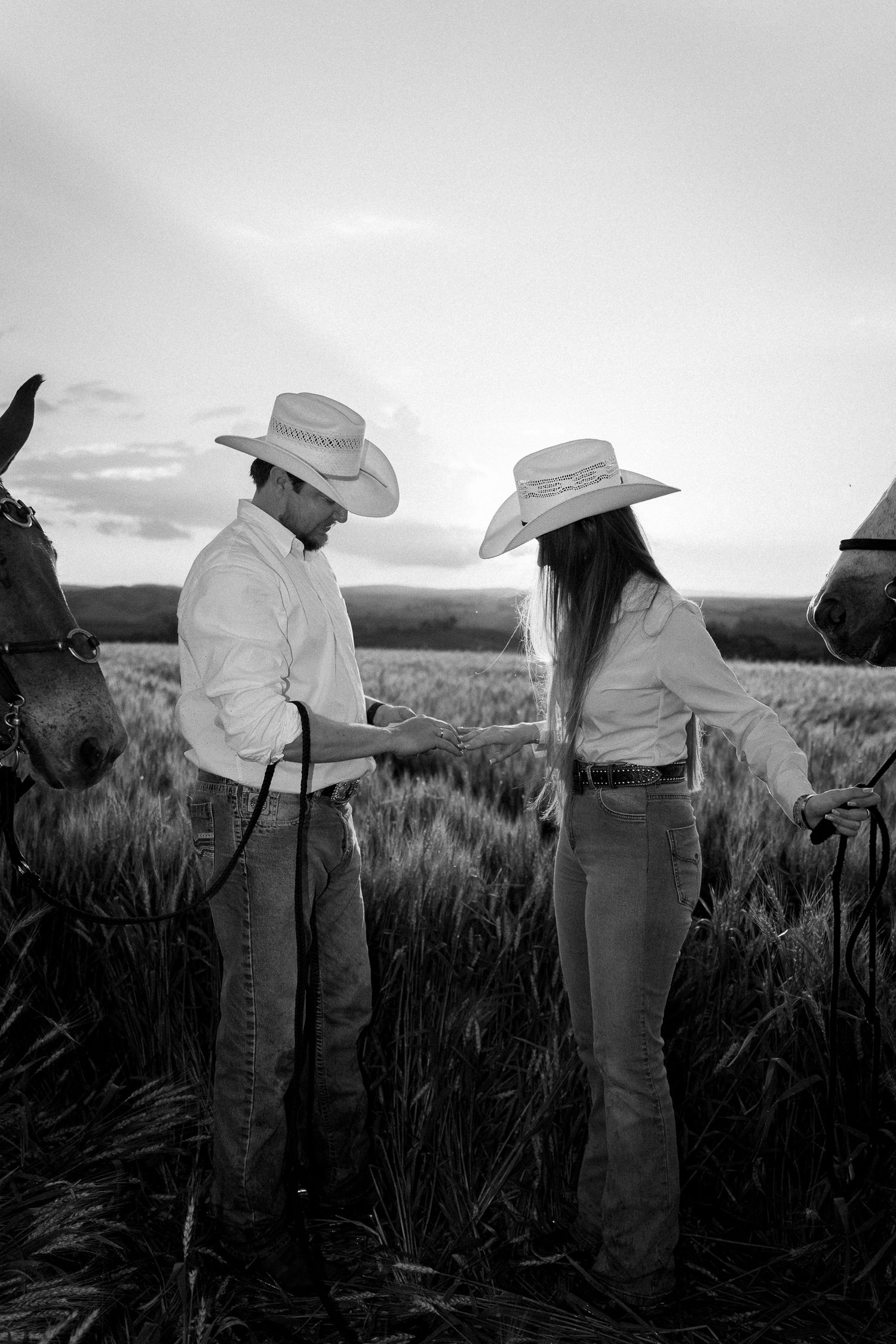 Black and white photo of a cowboy couple in hats holding hands in a wheat field with horses at sunset.