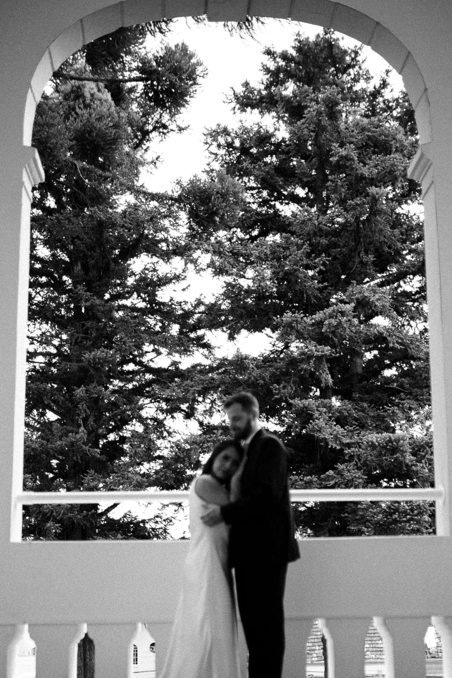 Black and white photo of a bride and groom embracing under an arch with a large tree in the background.