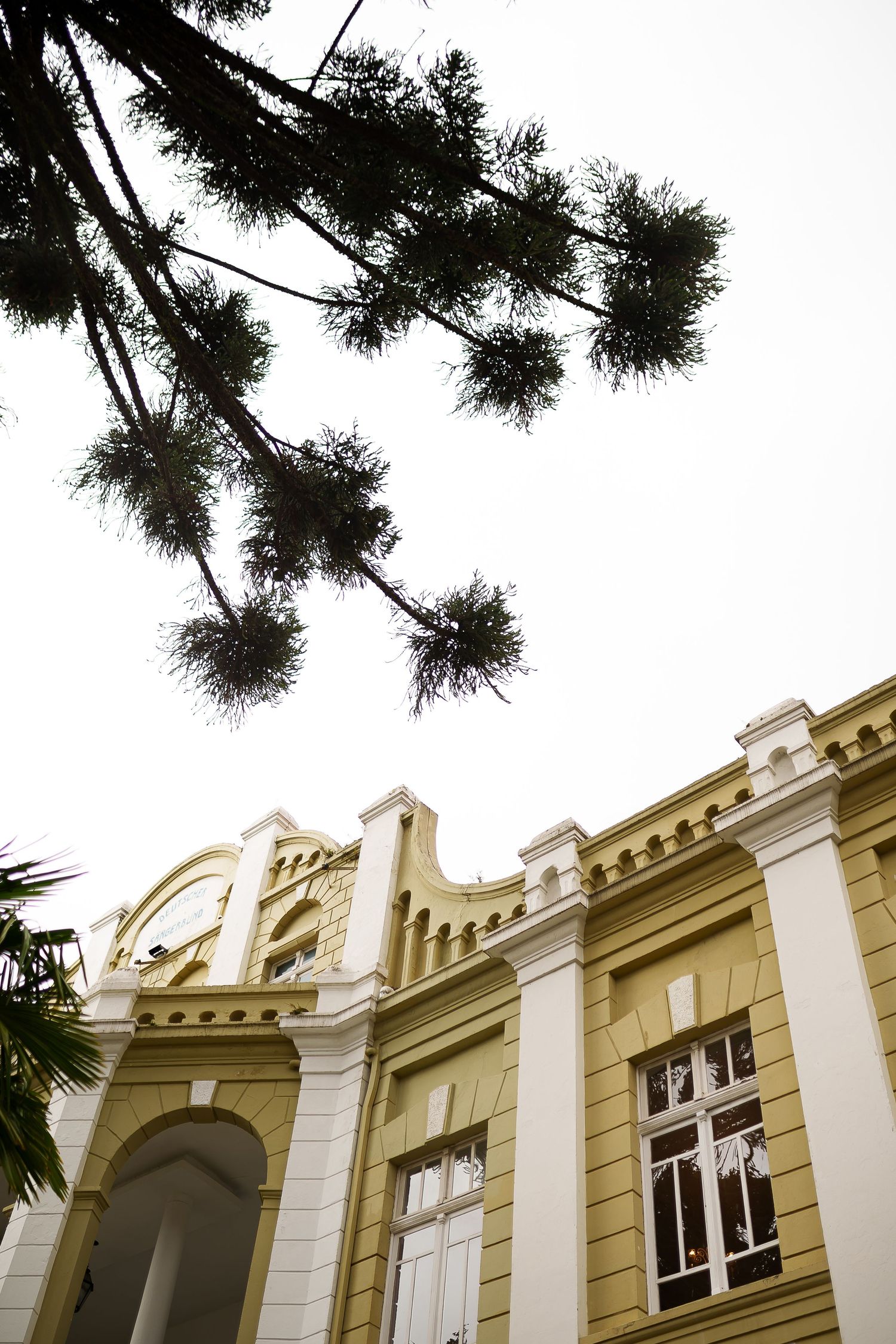 Low angle view of a historic yellow building facade with arched windows and pine tree branches.