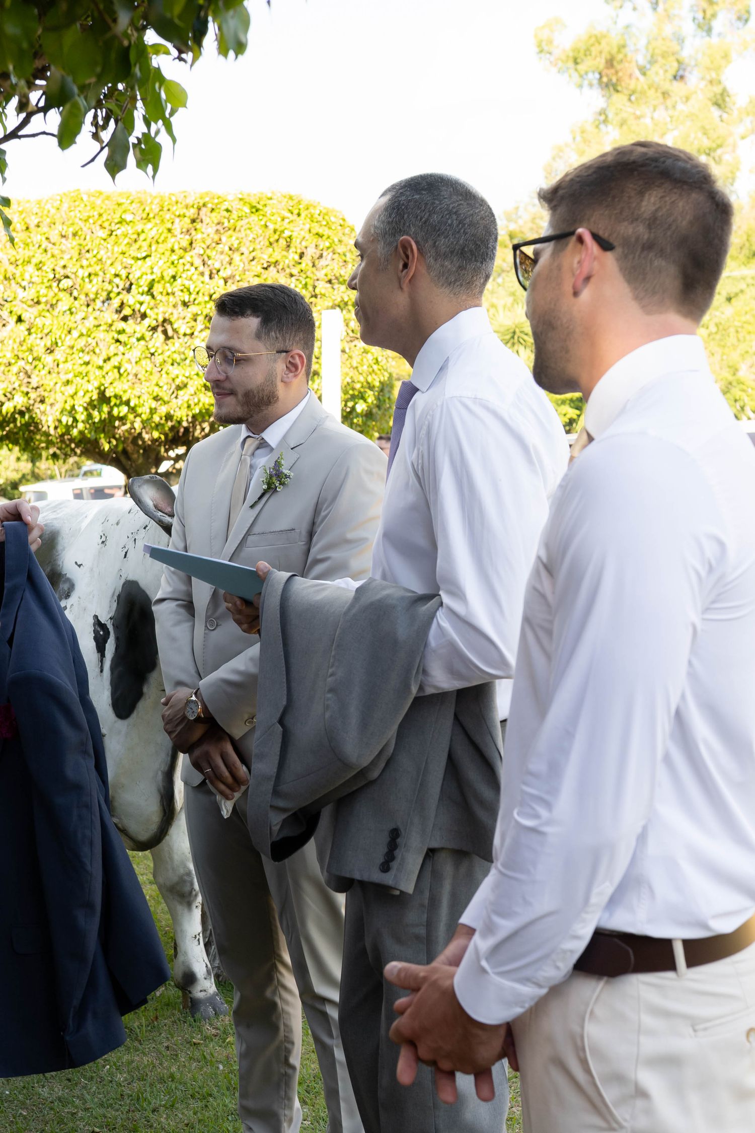 Three men in formal attire stand outdoors at a wedding ceremony near a cow, surrounded by lush green hedges.