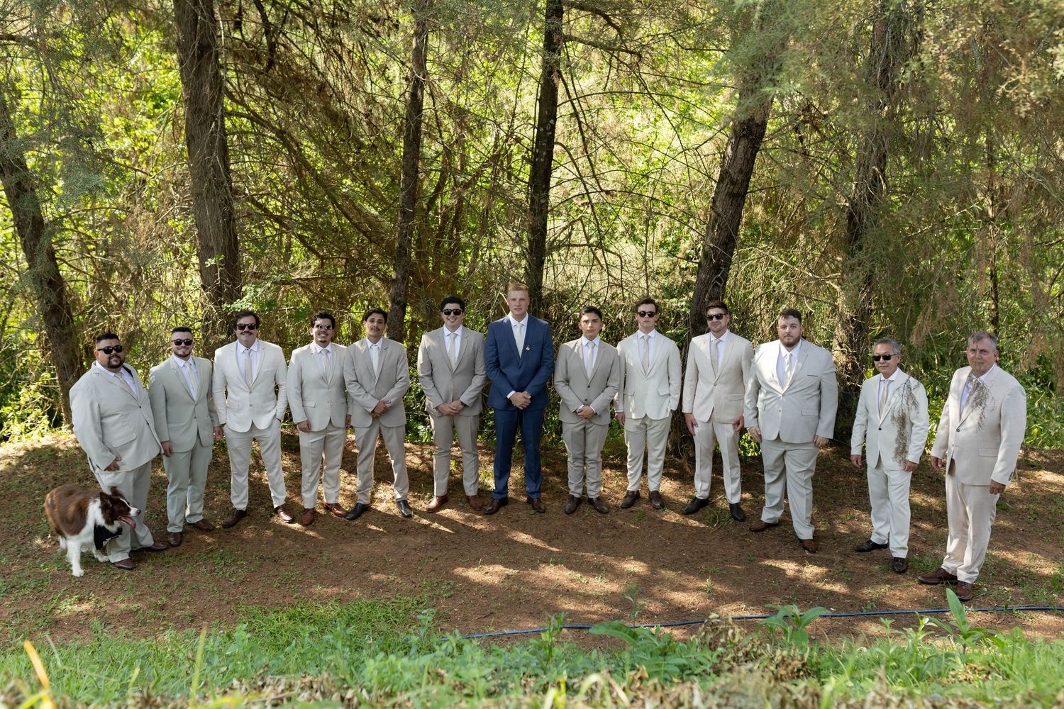 Groom and groomsmen in matching light suits pose outdoors in a forest setting for a wedding party photo.