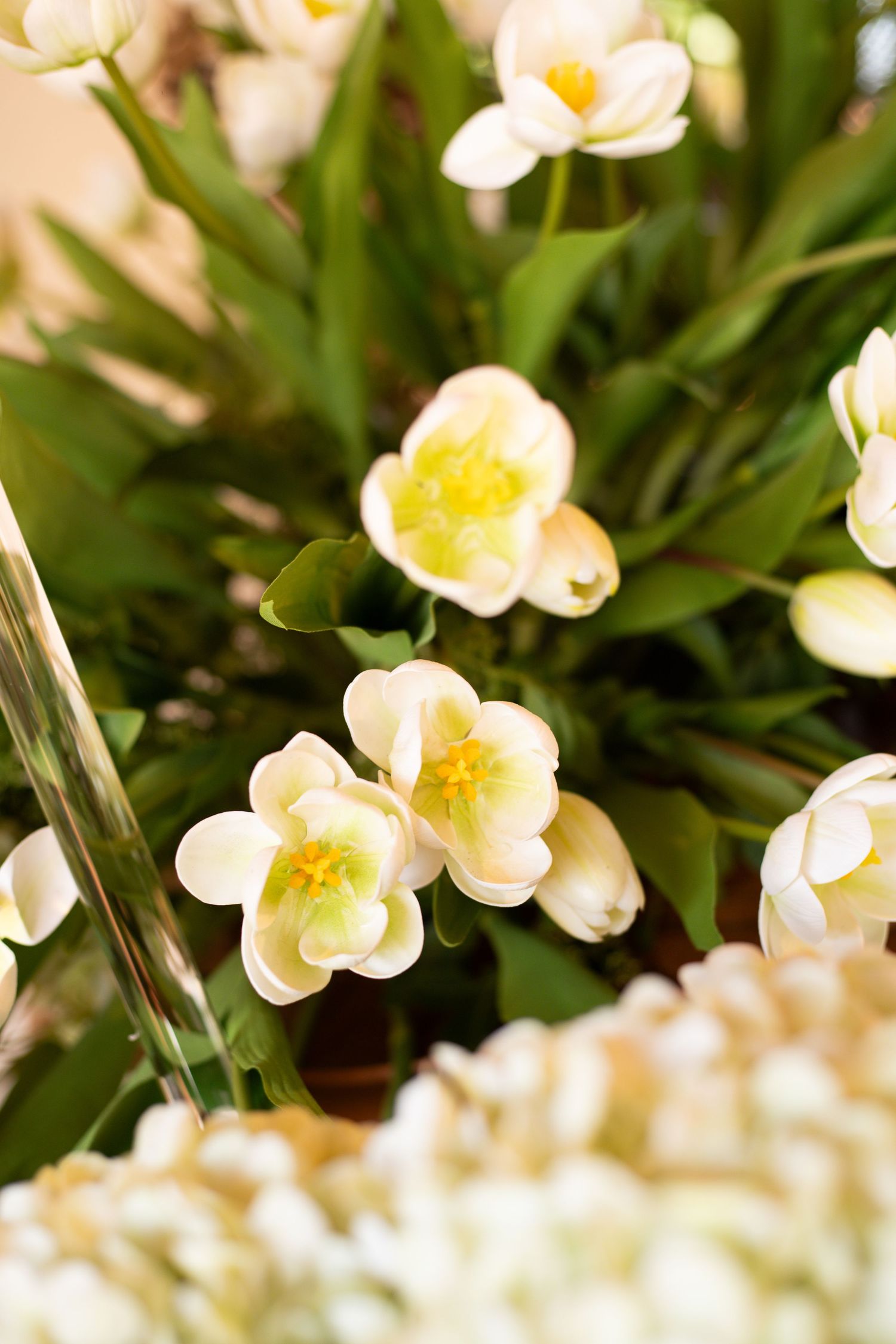 Close-up of delicate white and yellow tulips with green foliage in a floral arrangement.
