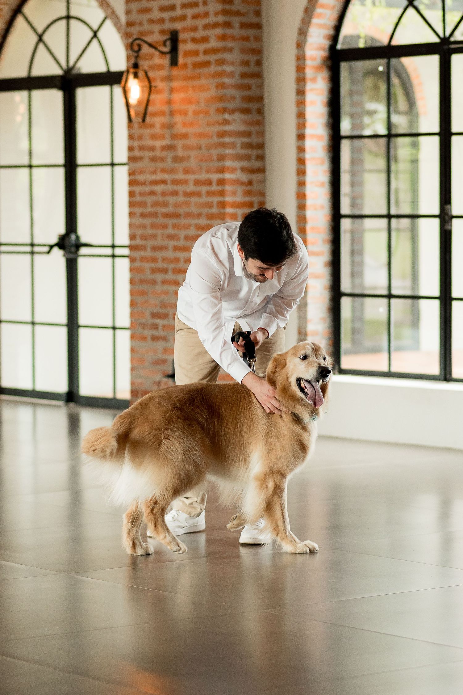 Man in white shirt petting a golden retriever dog in a bright room with brick walls and large windows.
