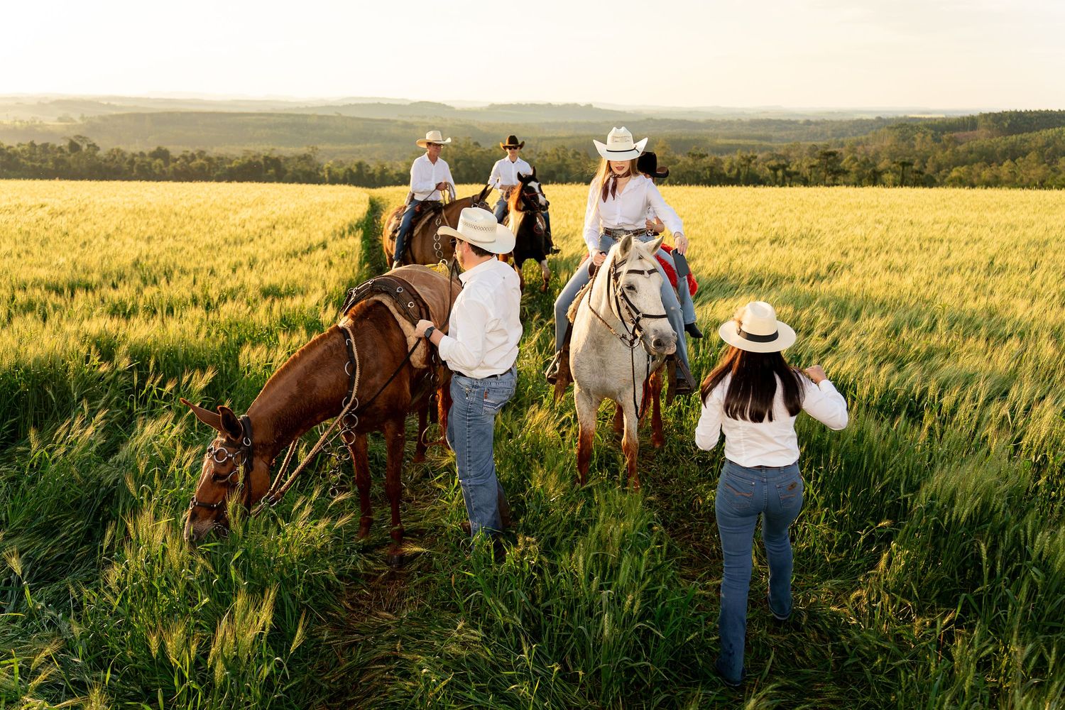Group of cowboys and cowgirls on horseback riding through lush green fields at golden sunset hour.