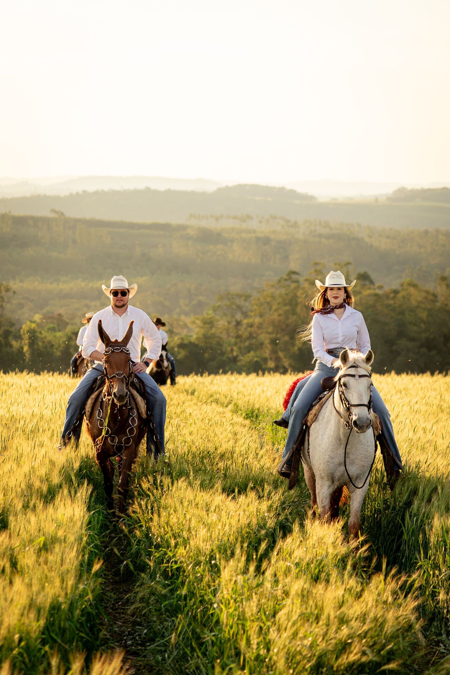 Two cowboys in white shirts and hats ride horses through a golden wheat field with green hills at sunset.