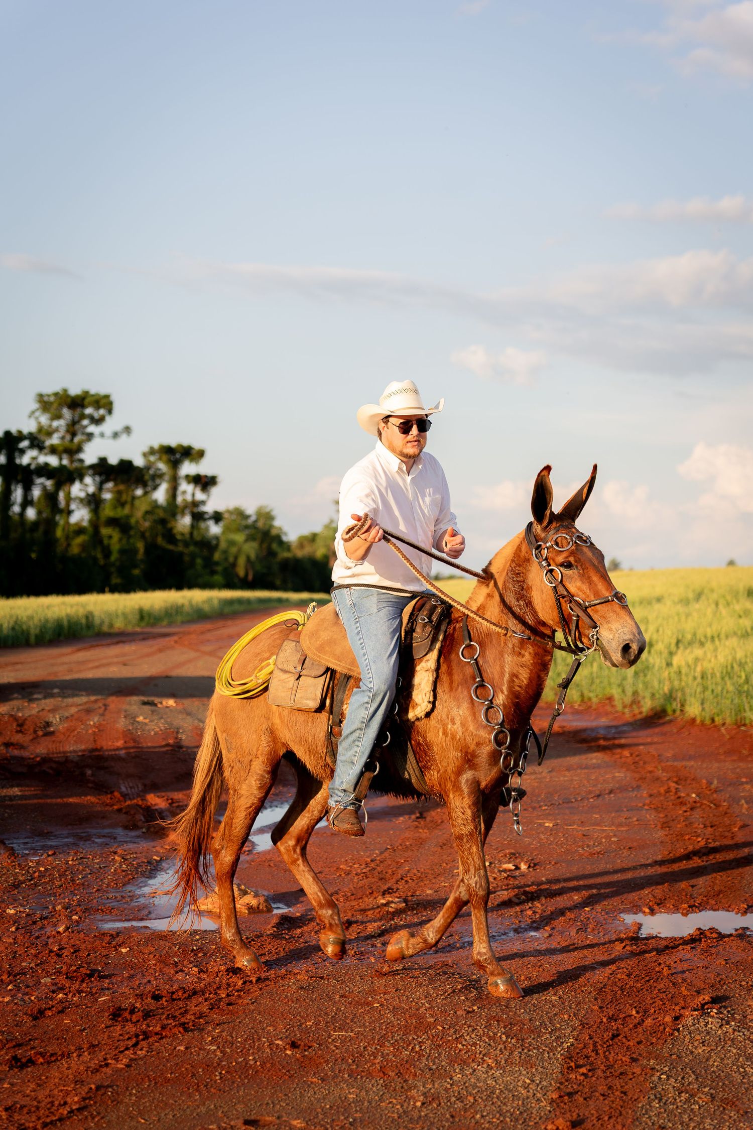 Cowboy in white hat riding a brown mule on a muddy red dirt road beside a green field under blue sky.
