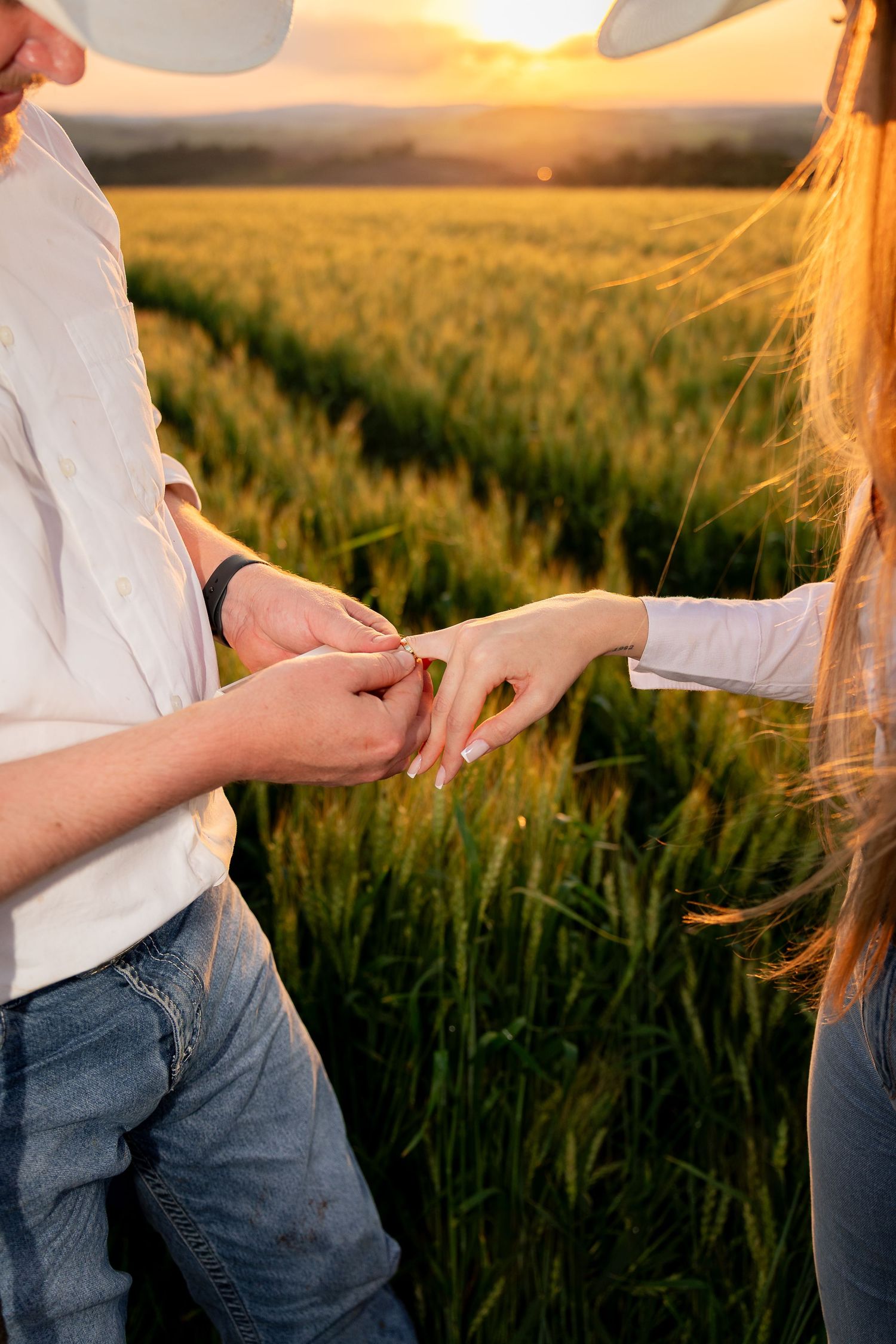 Couple holding hands in a golden wheat field at sunset, wearing white shirts and jeans in a romantic outdoor setting.