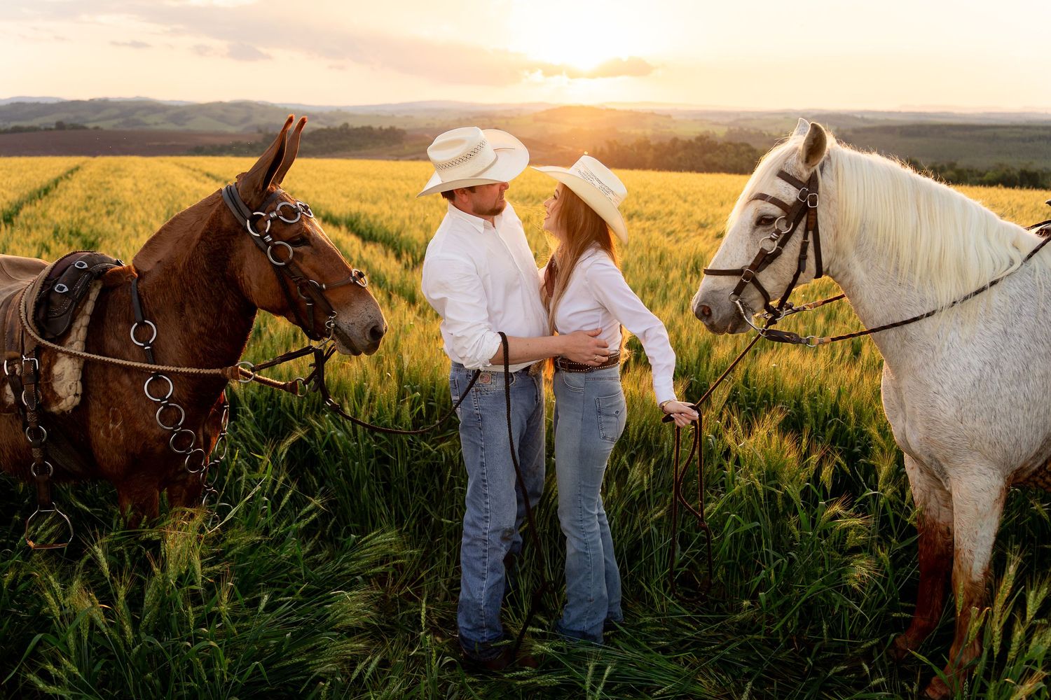Couple in cowboy hats holding hands in a golden field at sunset, flanked by a brown and white horse.