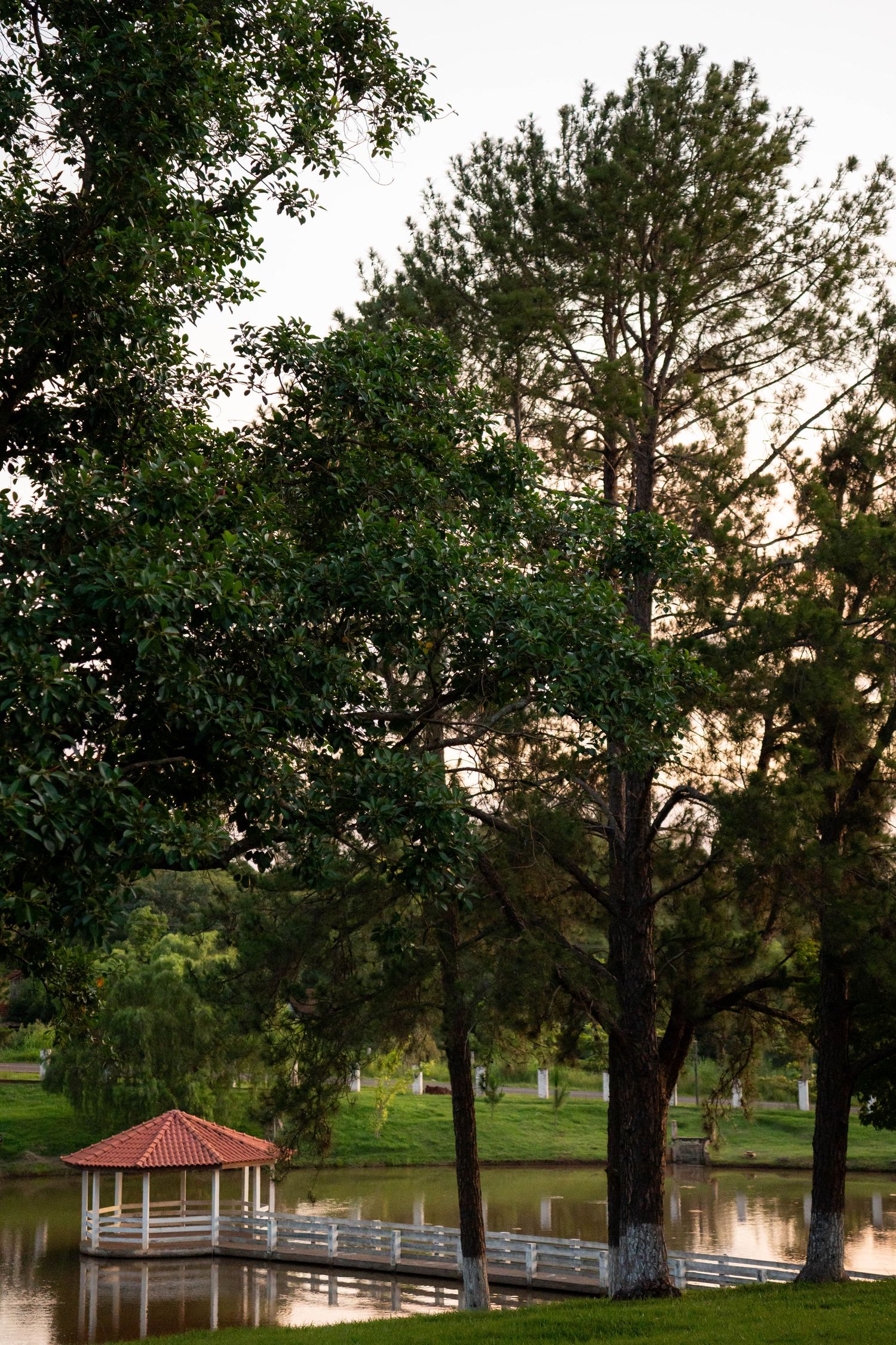 A serene park gazebo with red roof sits beside a calm pond, surrounded by lush green trees at dusk.