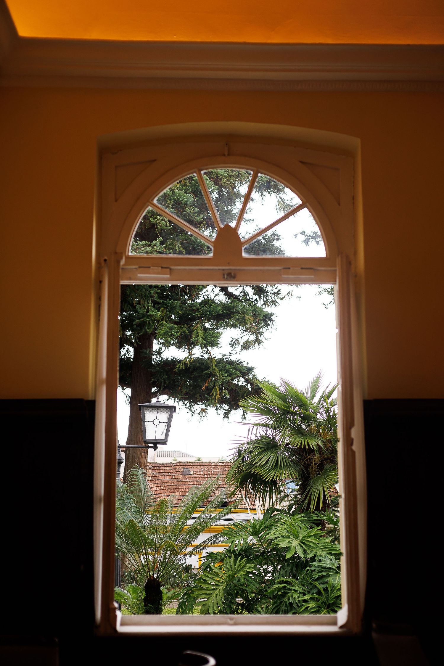 Elegant arched window with white frame overlooking lush tropical garden with palm trees and vintage street lamp.
