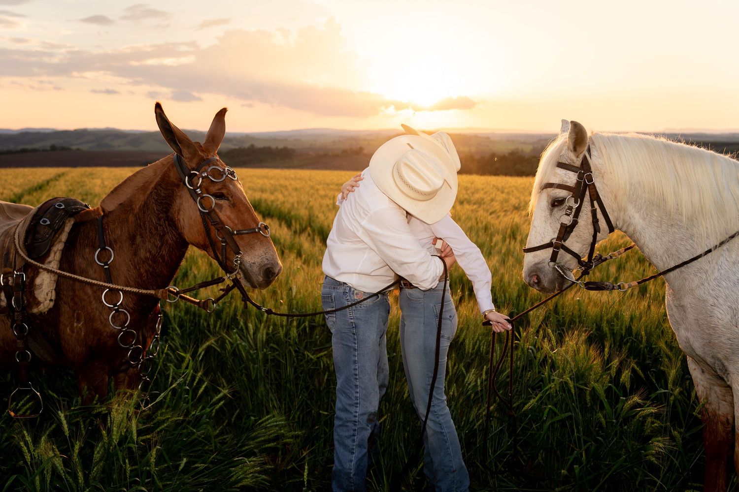 Person in cowboy hat leading brown and white horses through green field at golden sunset.