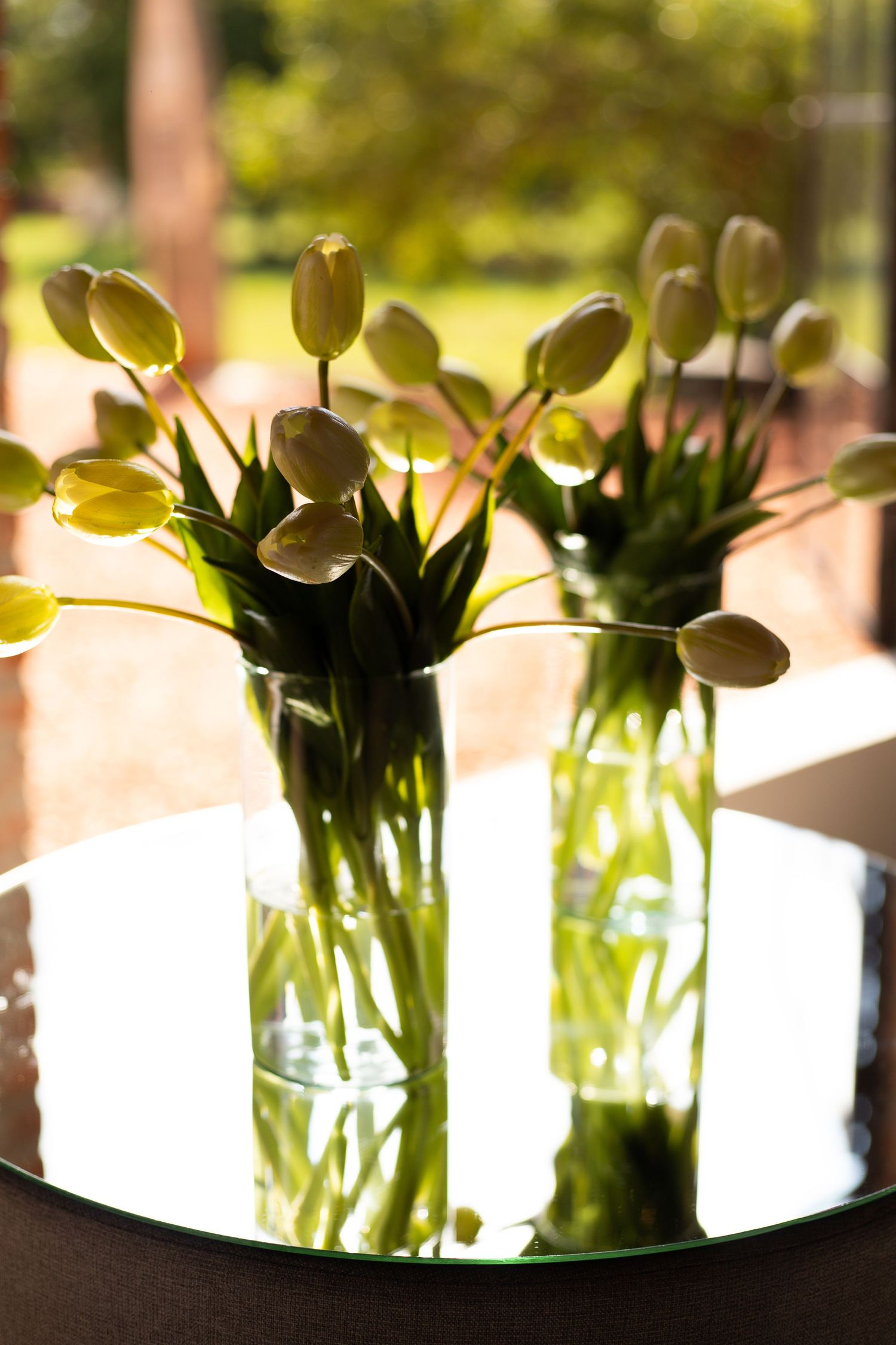 Two glass vases of white tulips on a mirrored tray, backlit by natural light with green garden background.