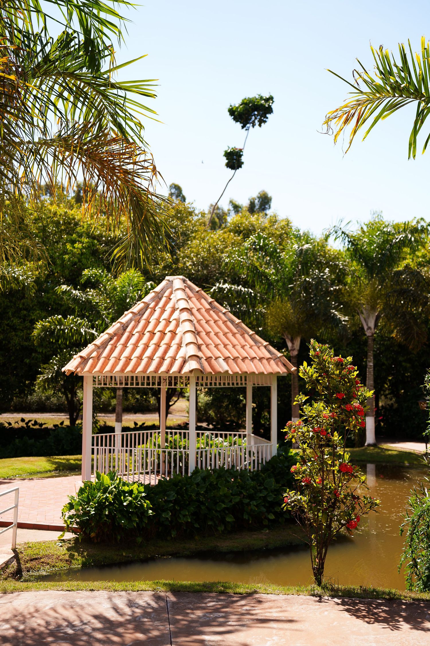 White gazebo with terracotta tile roof surrounded by lush tropical palm trees and flowering plants in a sunny garden.