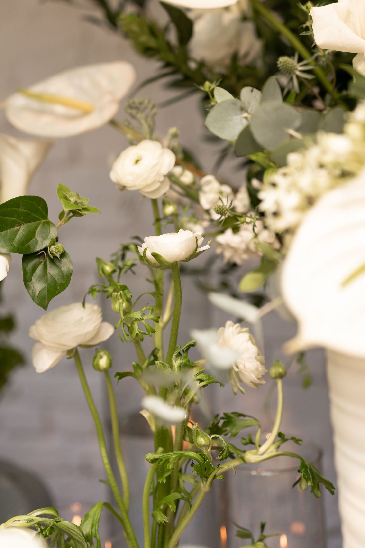 White ranunculus and green eucalyptus floral arrangement with anthurium blooms in an elegant wedding centerpiece.