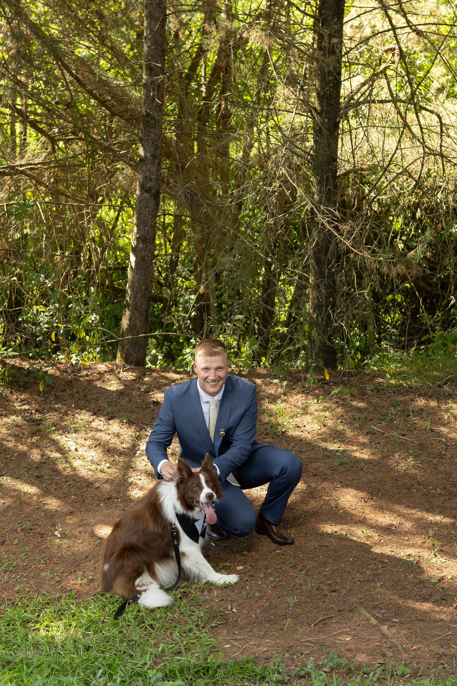 A smiling man in a blue suit crouches beside a brown and white Border Collie dog in a sunlit forest setting.