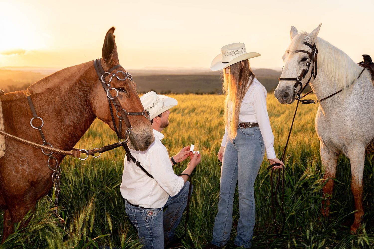 Man proposing to woman with two horses in a golden sunset field, both wearing cowboy hats in a romantic outdoor scene.
