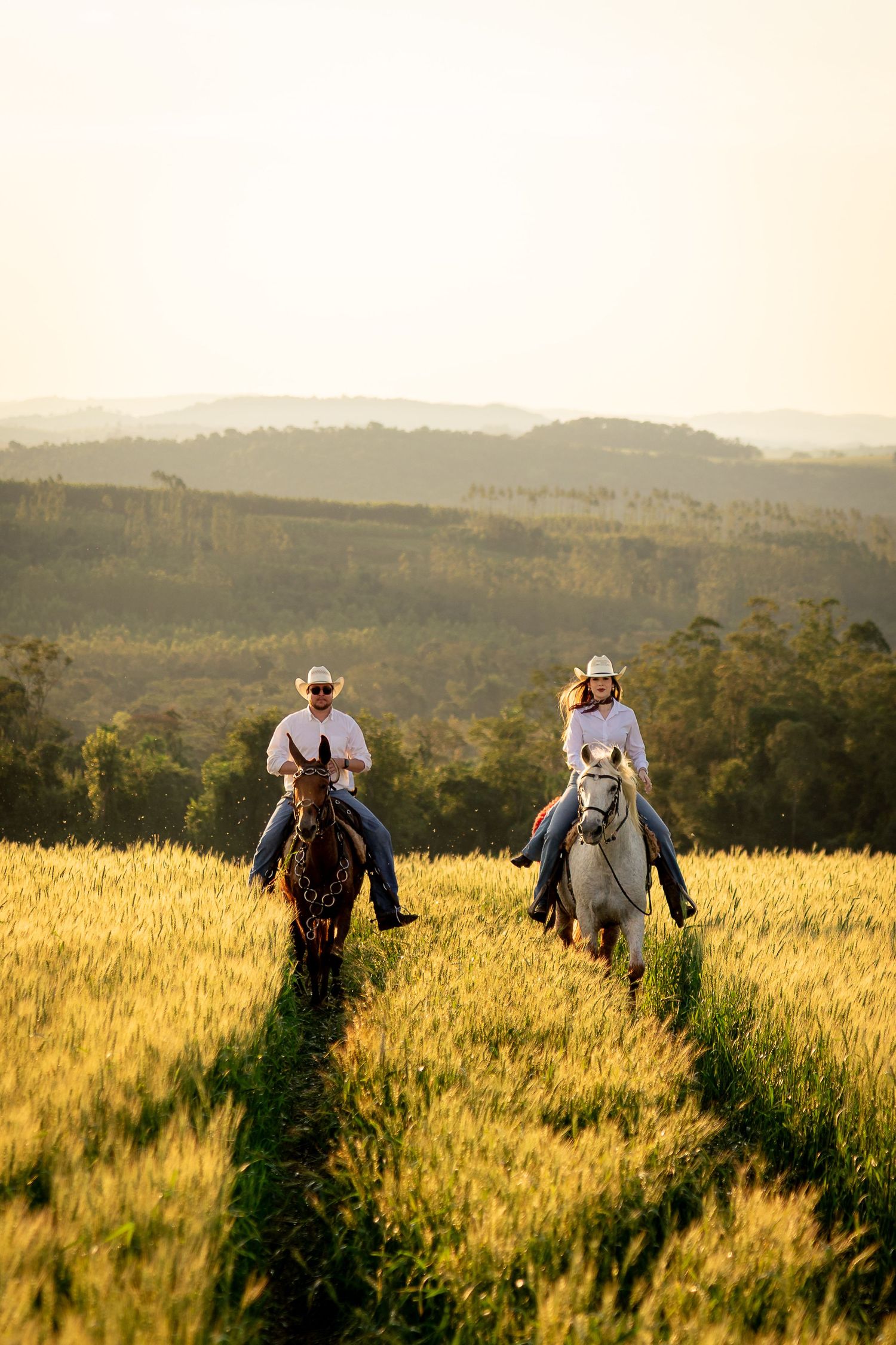 Two cowboys riding horses through golden wheat fields with misty green hills in the background at sunset.